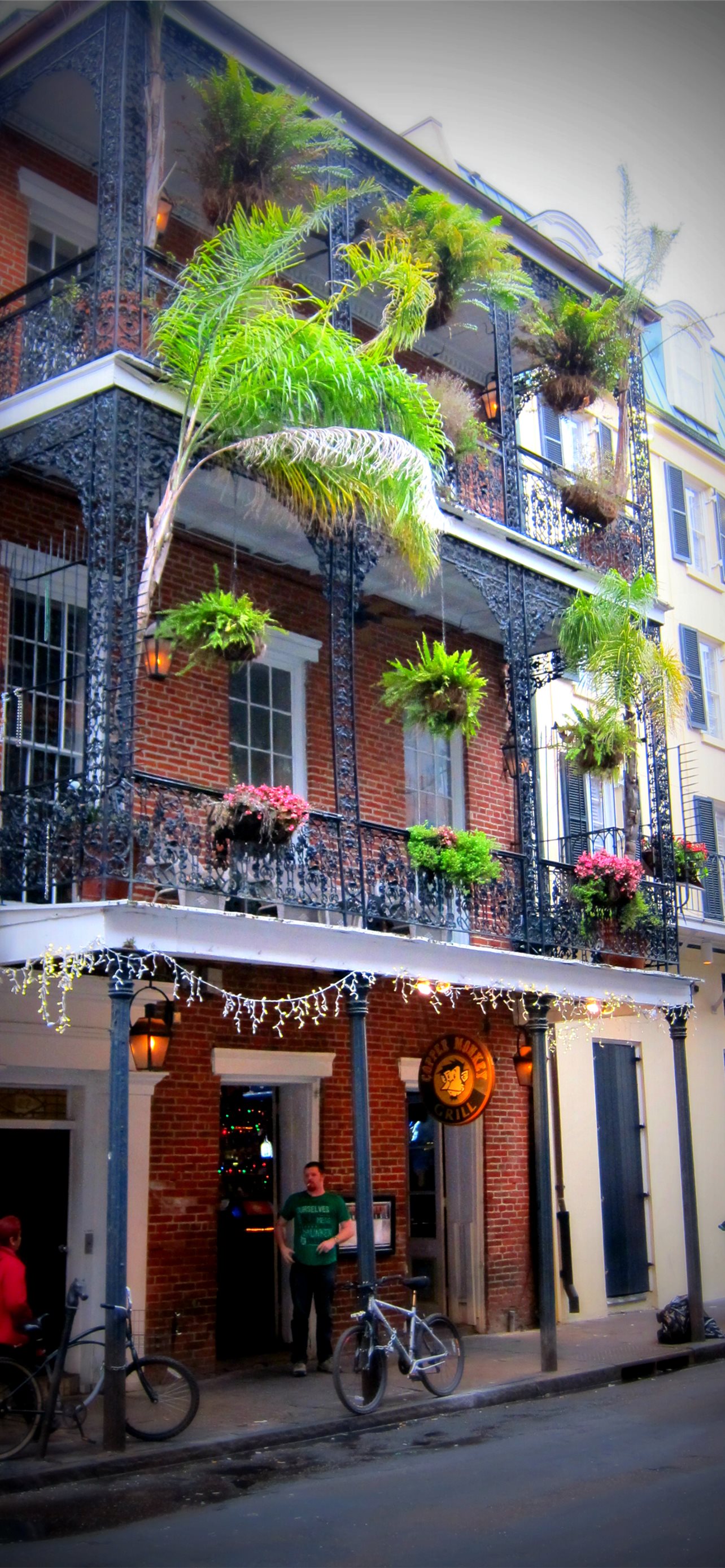 Best French quarter iPhone HD