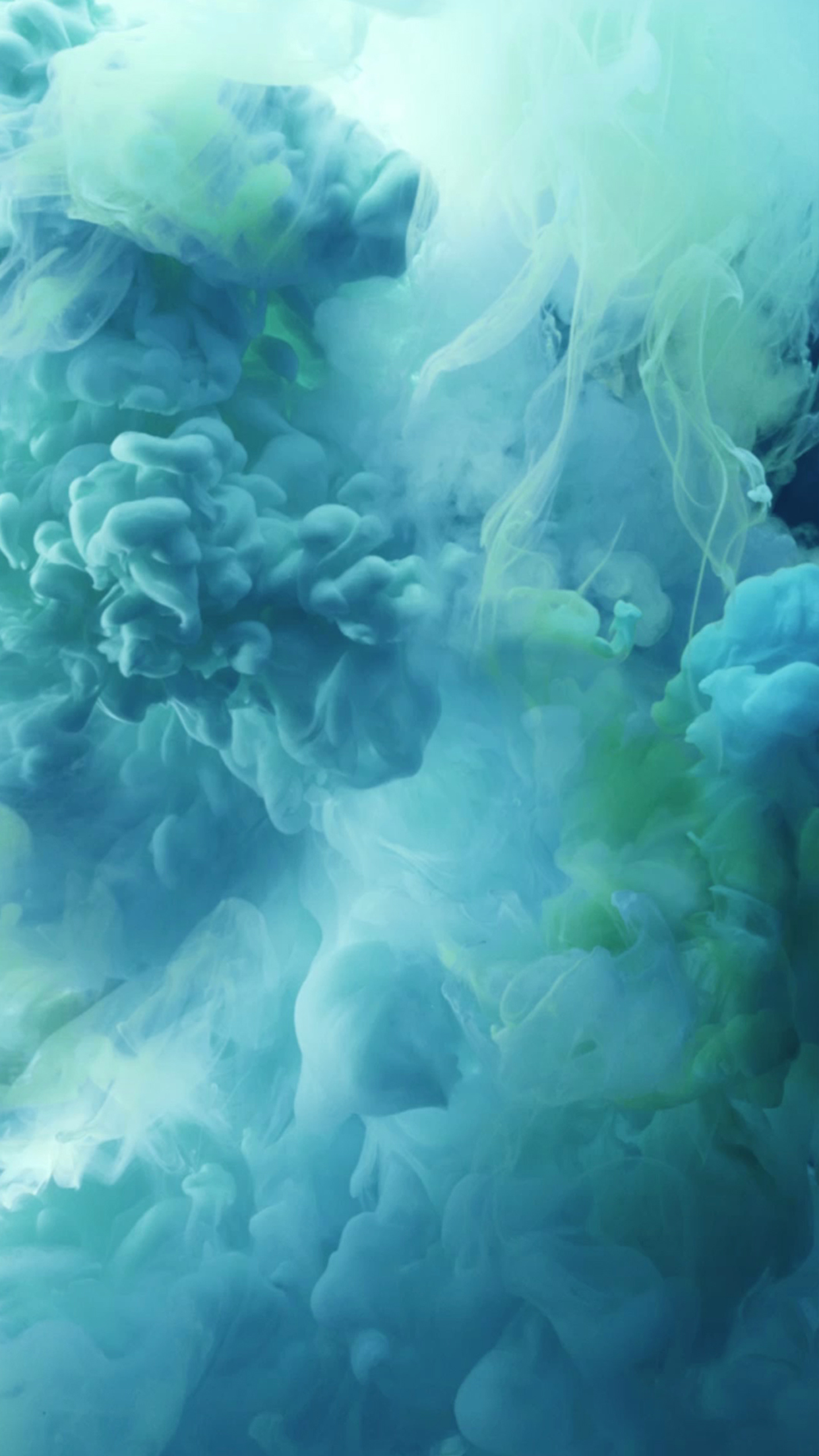 IPhone 6s still wallpaper image