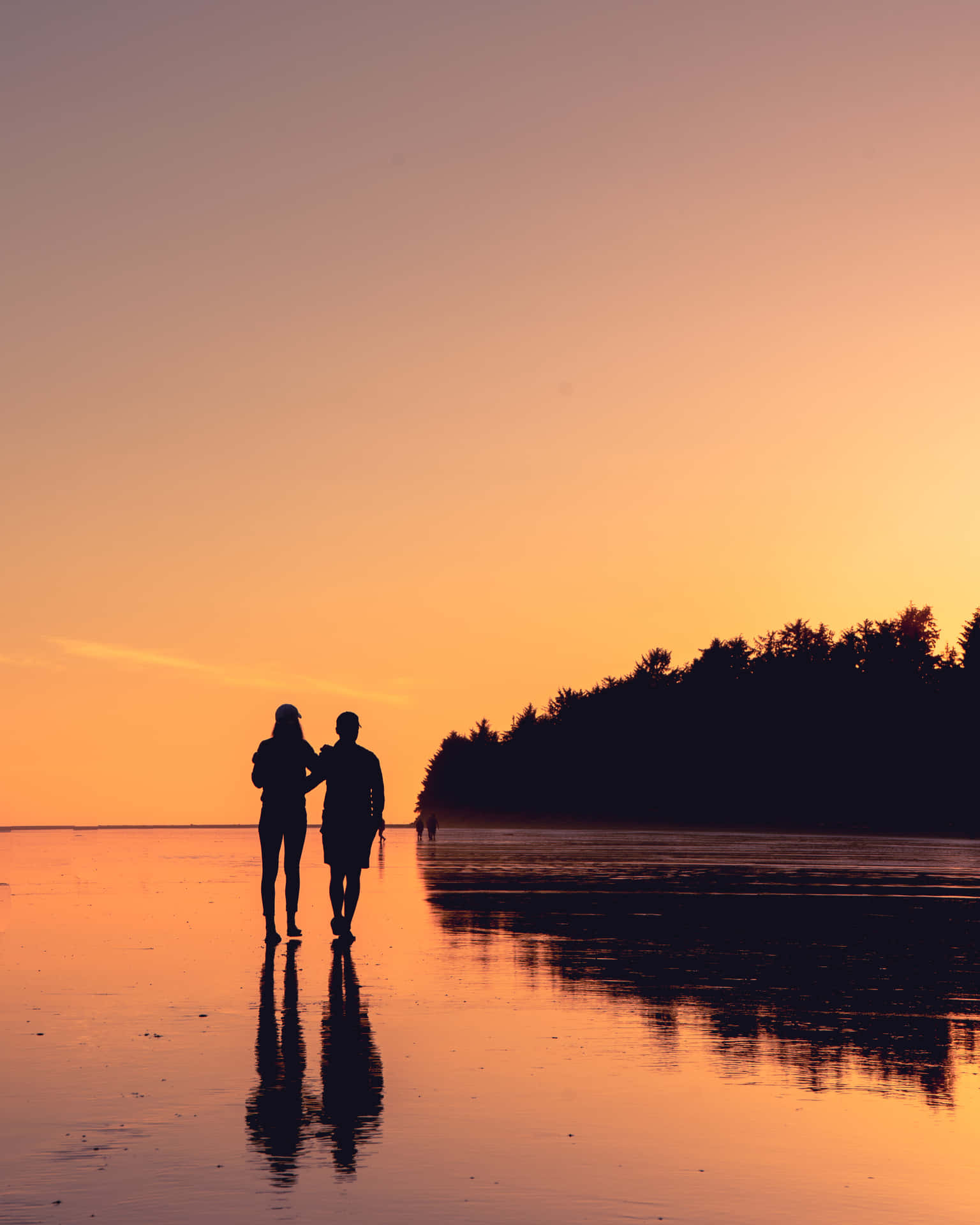 Download A Romantic Scene Wallpaper