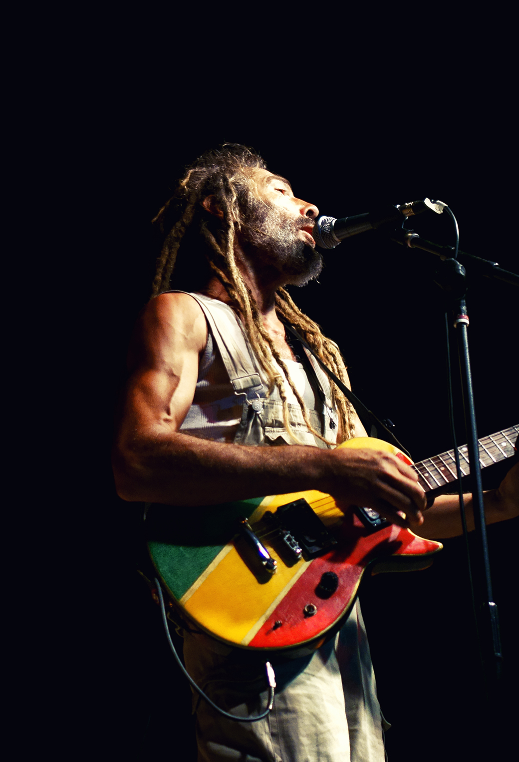 Reggae Wallpaper for iPhone 11, Pro Max