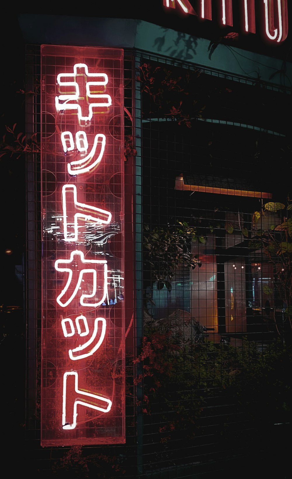 Neon Japan Picture. Download
