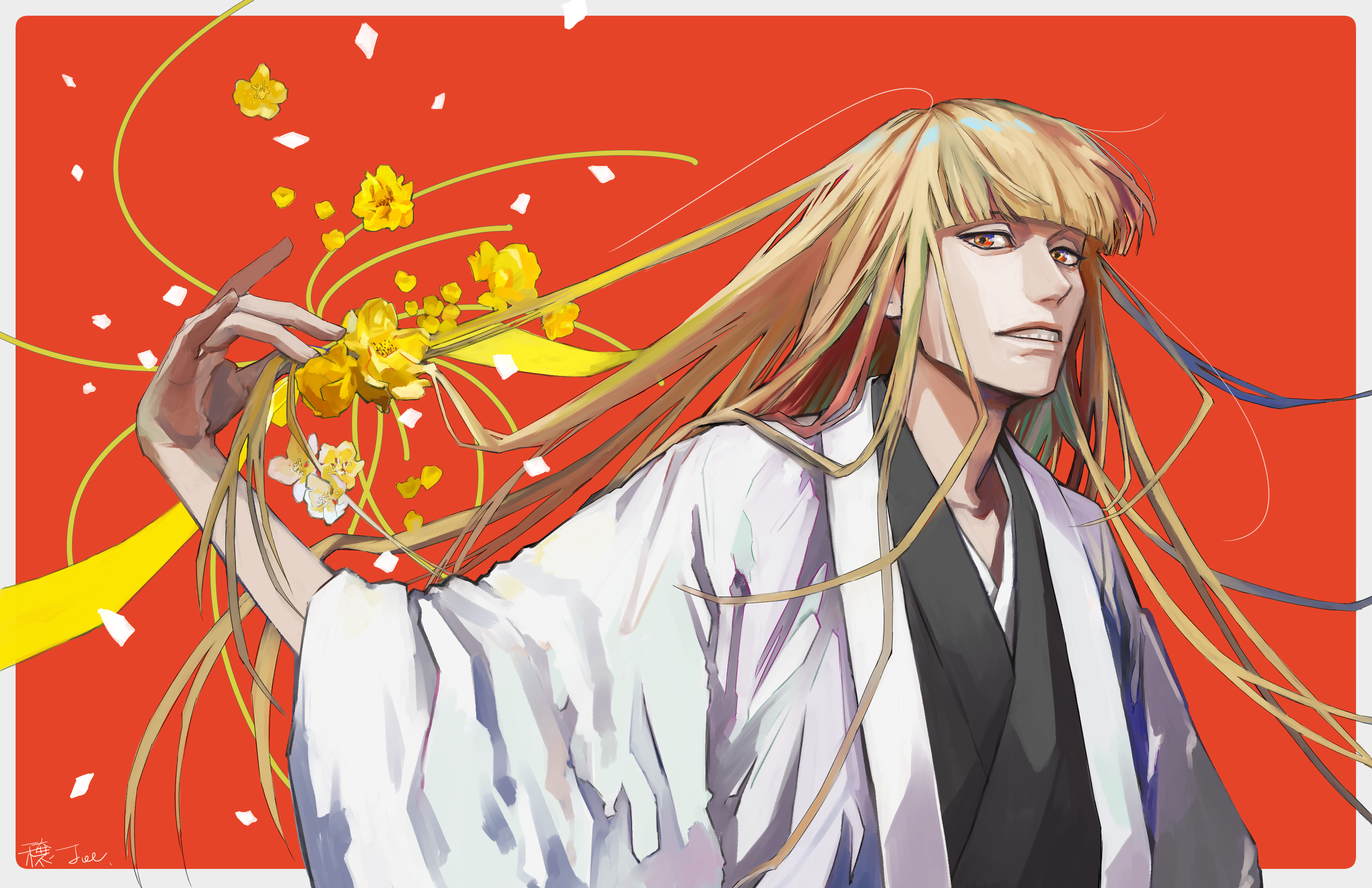 Hirako Shinji Anime