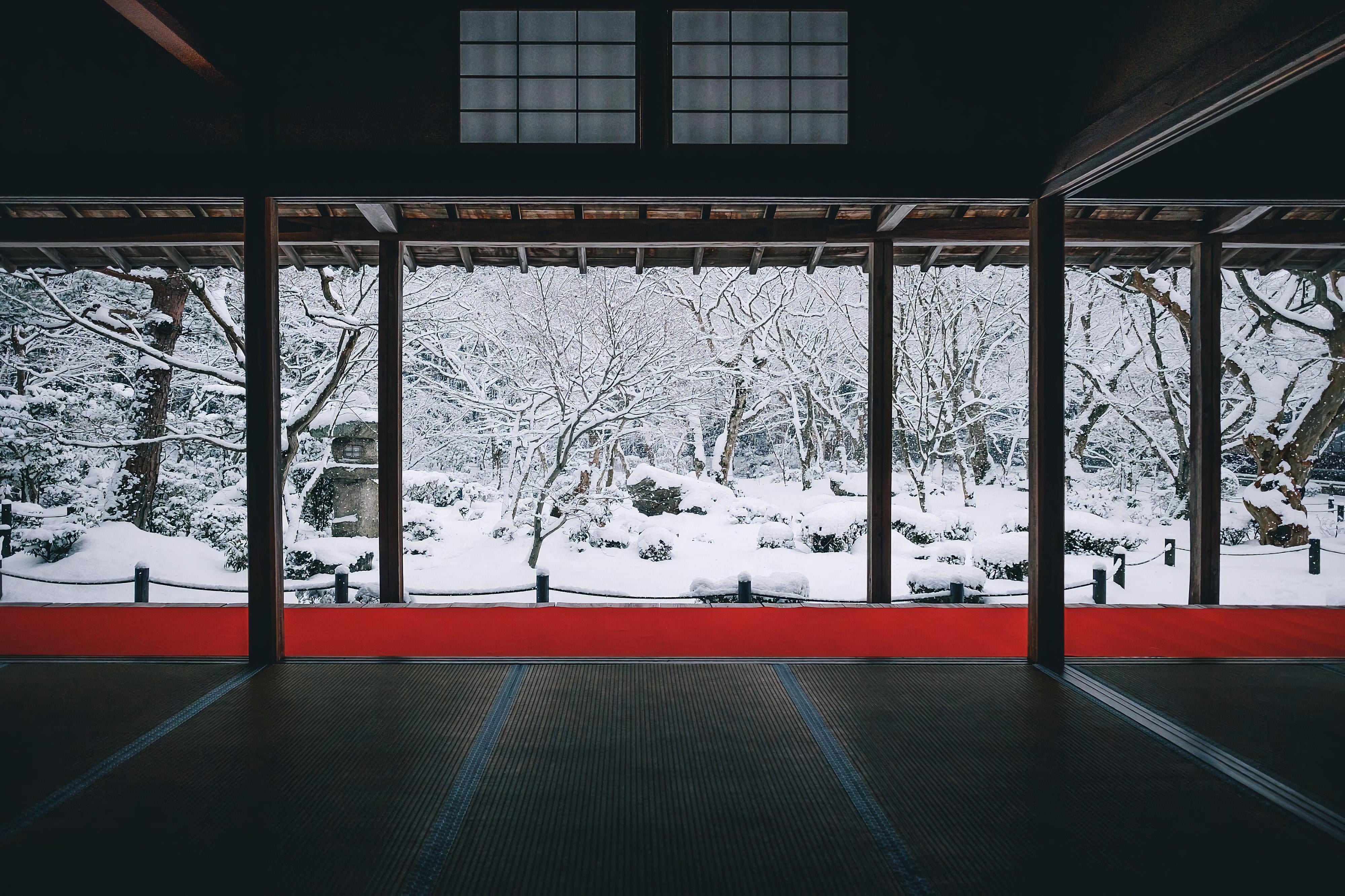 Winter, Snow, Japan, Photography