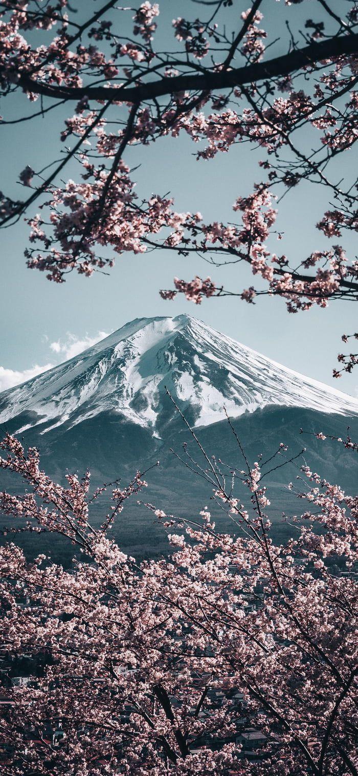 Japan 4K Phone Wallpaper