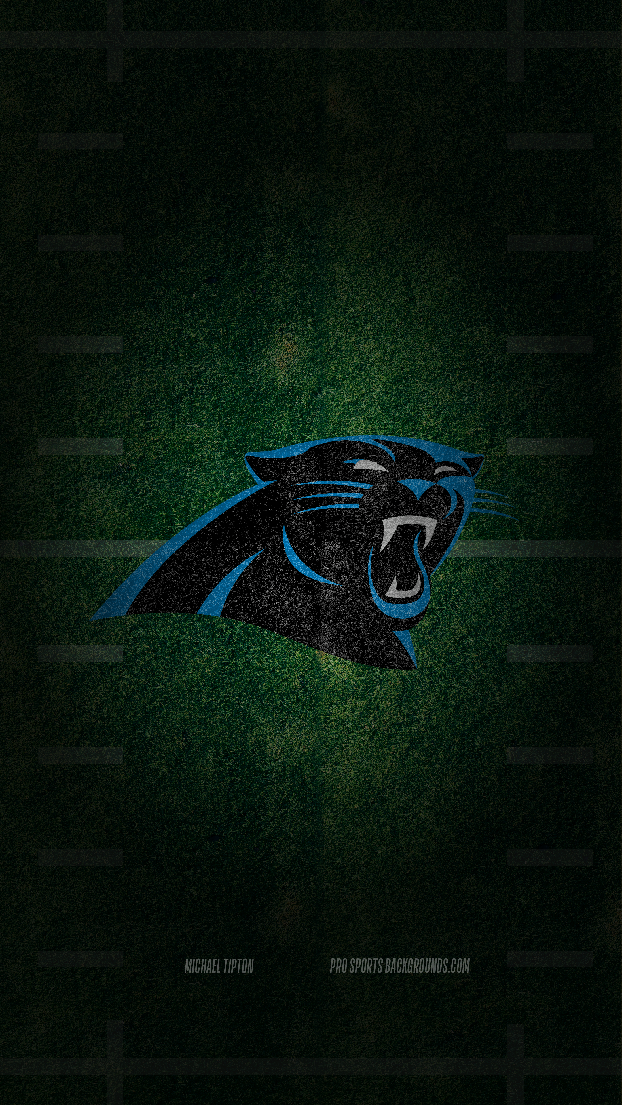 2024 Carolina Panthers wallpaper