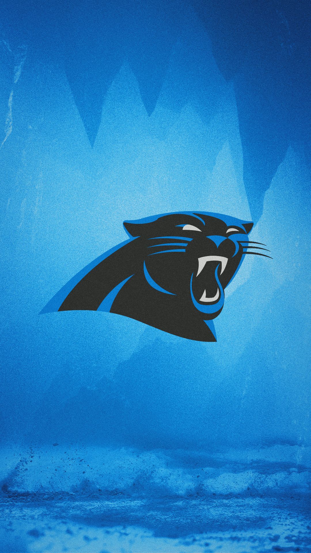 Carolina Panthers 2024 Wallpapers - Wallpaper Cave, image size:1080x1920