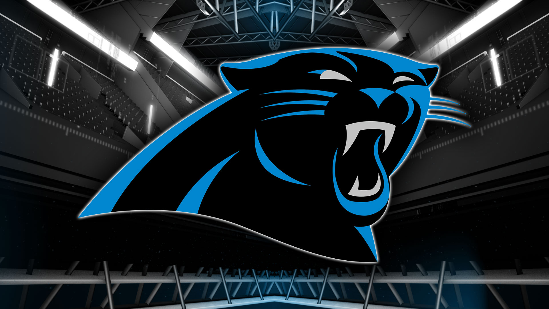 Best seasons in Carolina Panthers