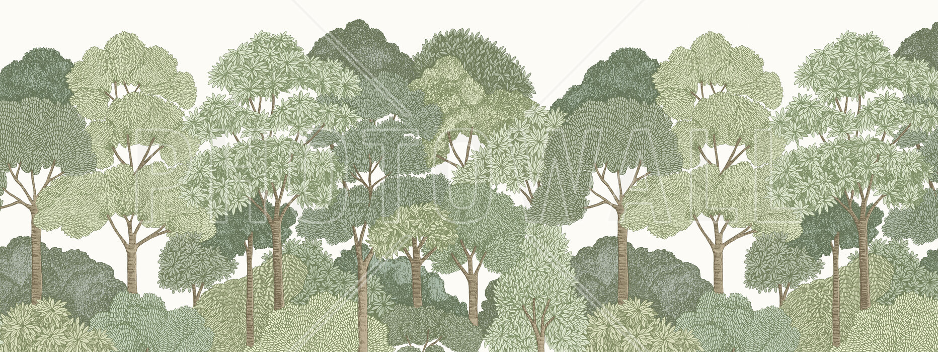 Canopy Green