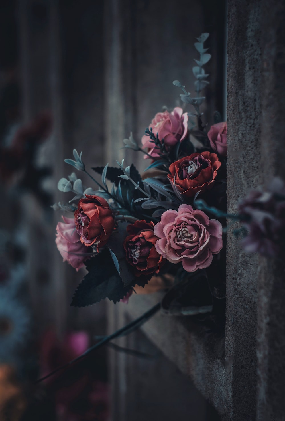 Nature Dark Picture. Download