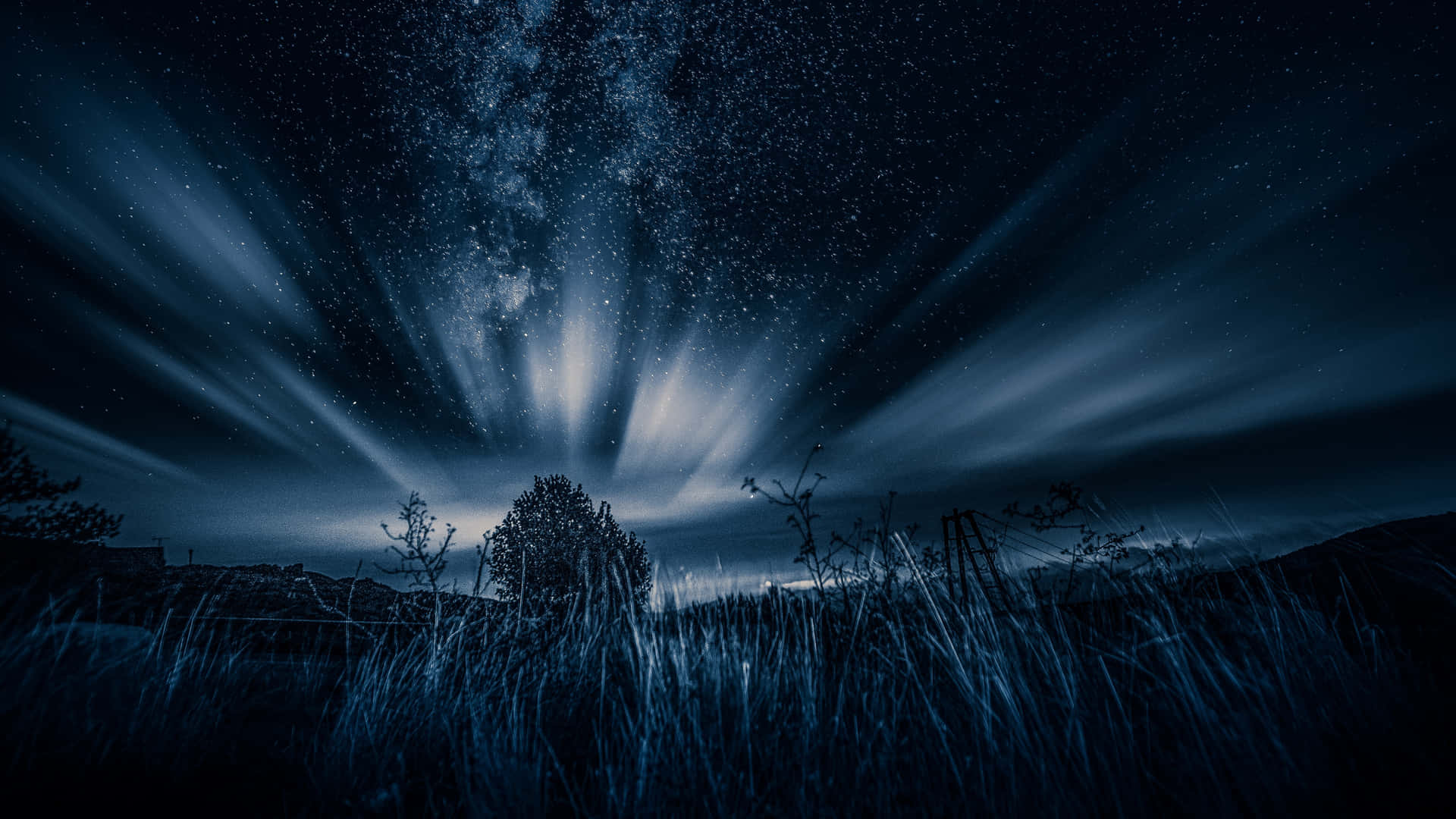 Dark Nature Background