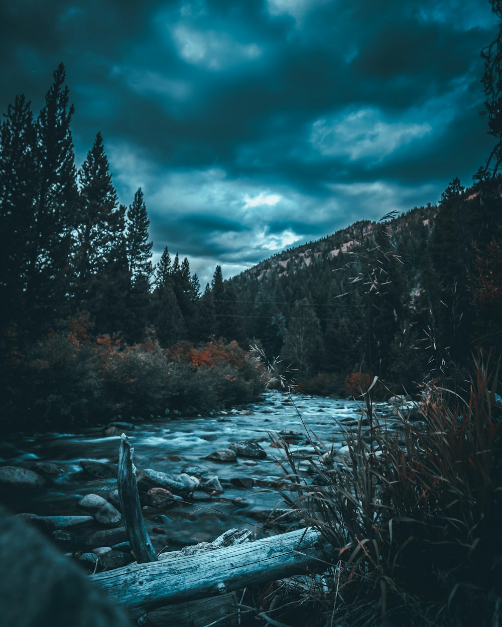 Nature Dark Picture. Download