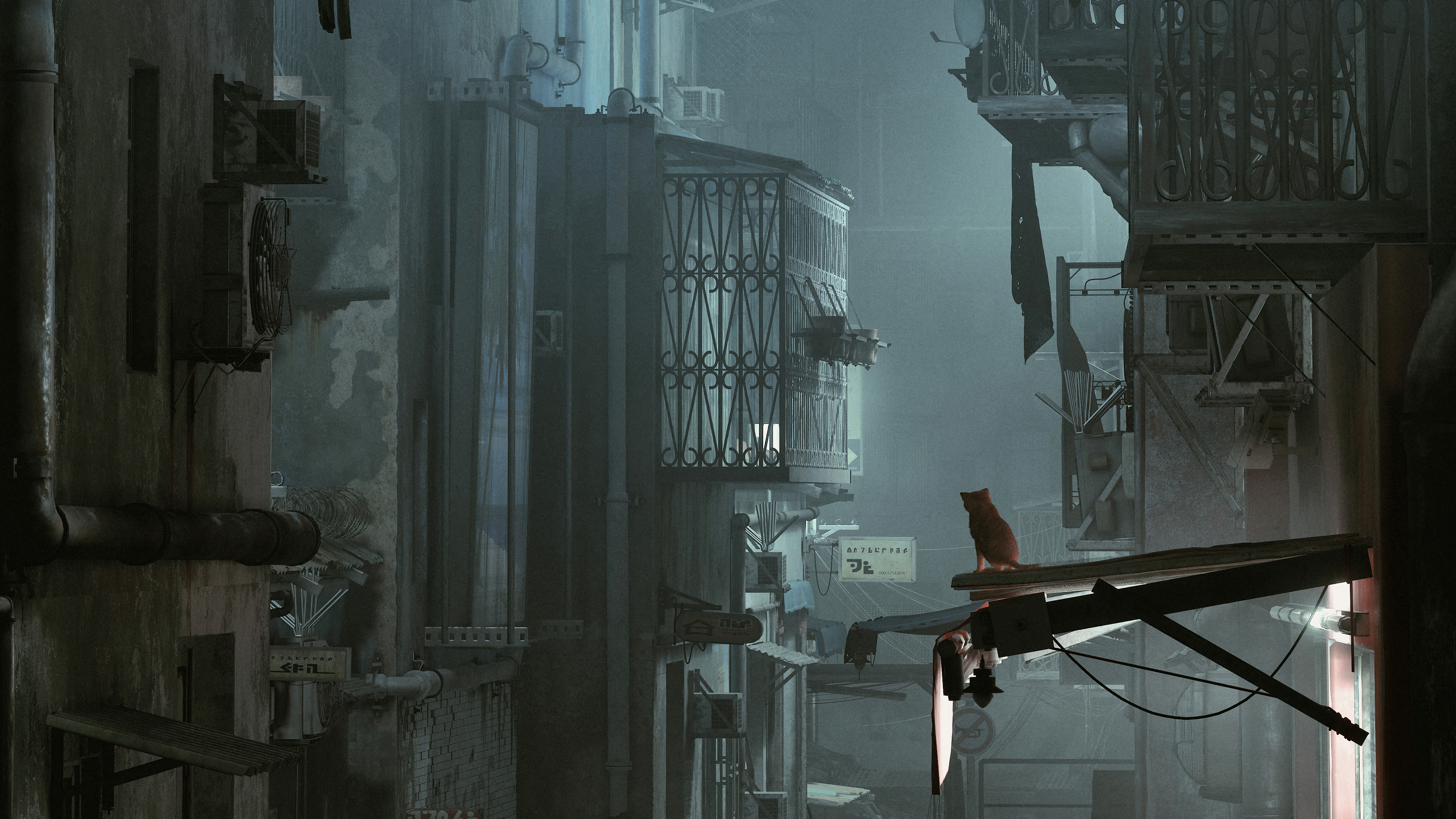 Stray 5k Wallpaper, HD Games Wallpaper