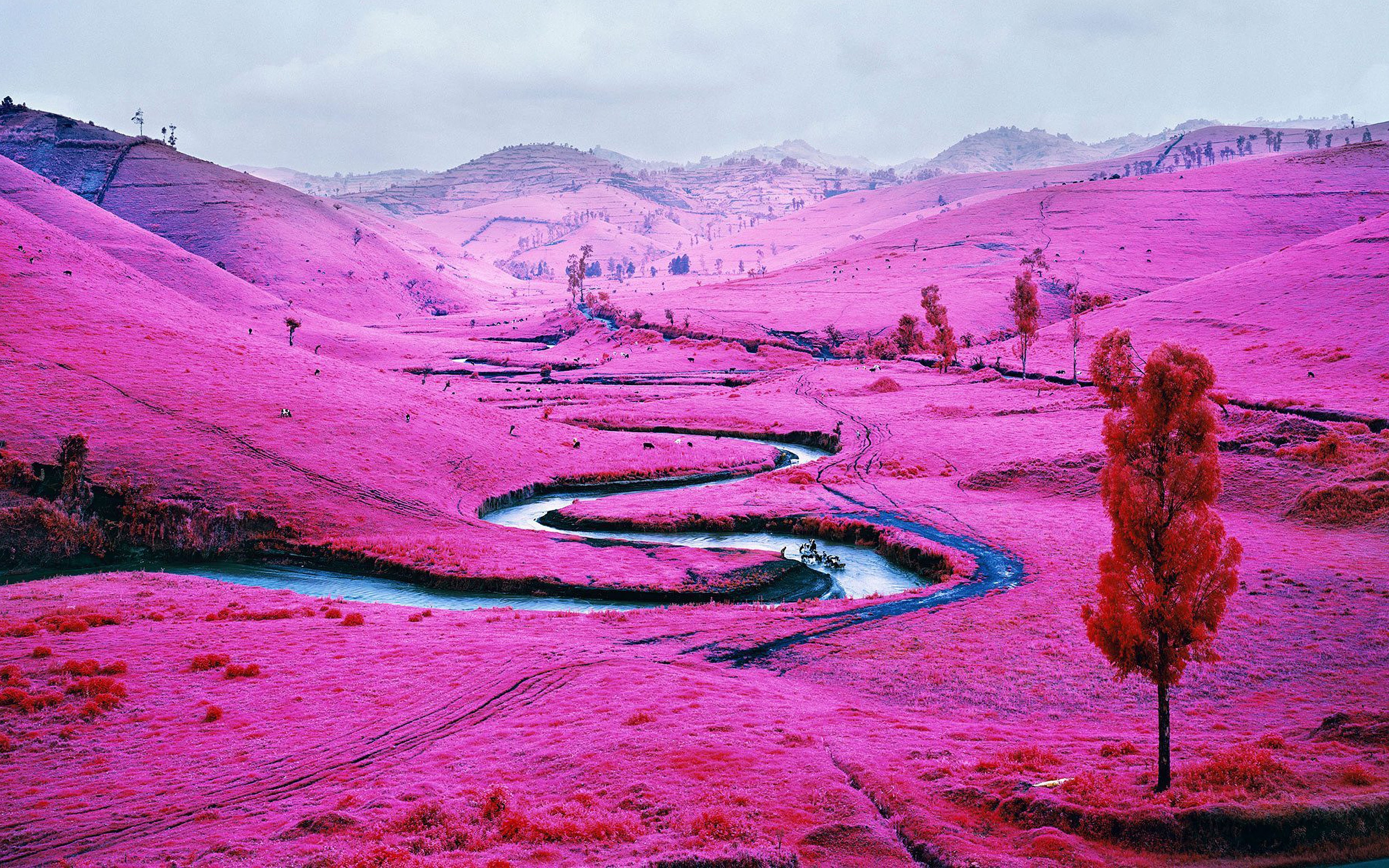 Nature Scenery Landscape 4K Wallpaper