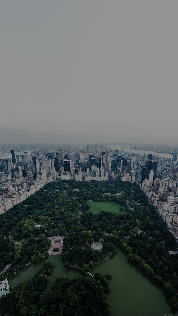 New York Dark Central Park Skyview