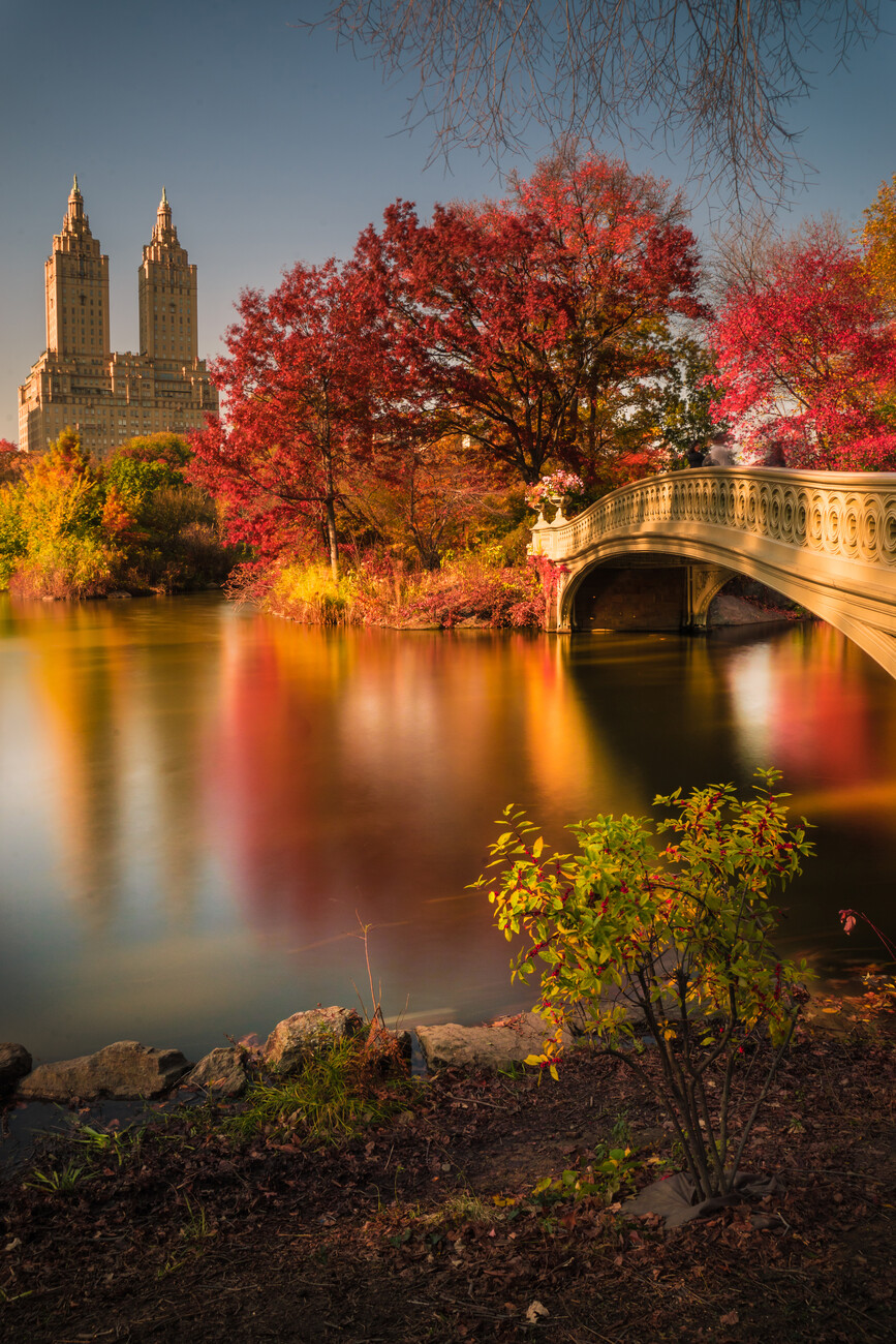 Fall in Central Park Wall Mural. Buy