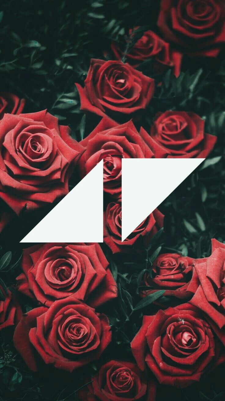 Avicii, Aesthetic iphone wallpaper