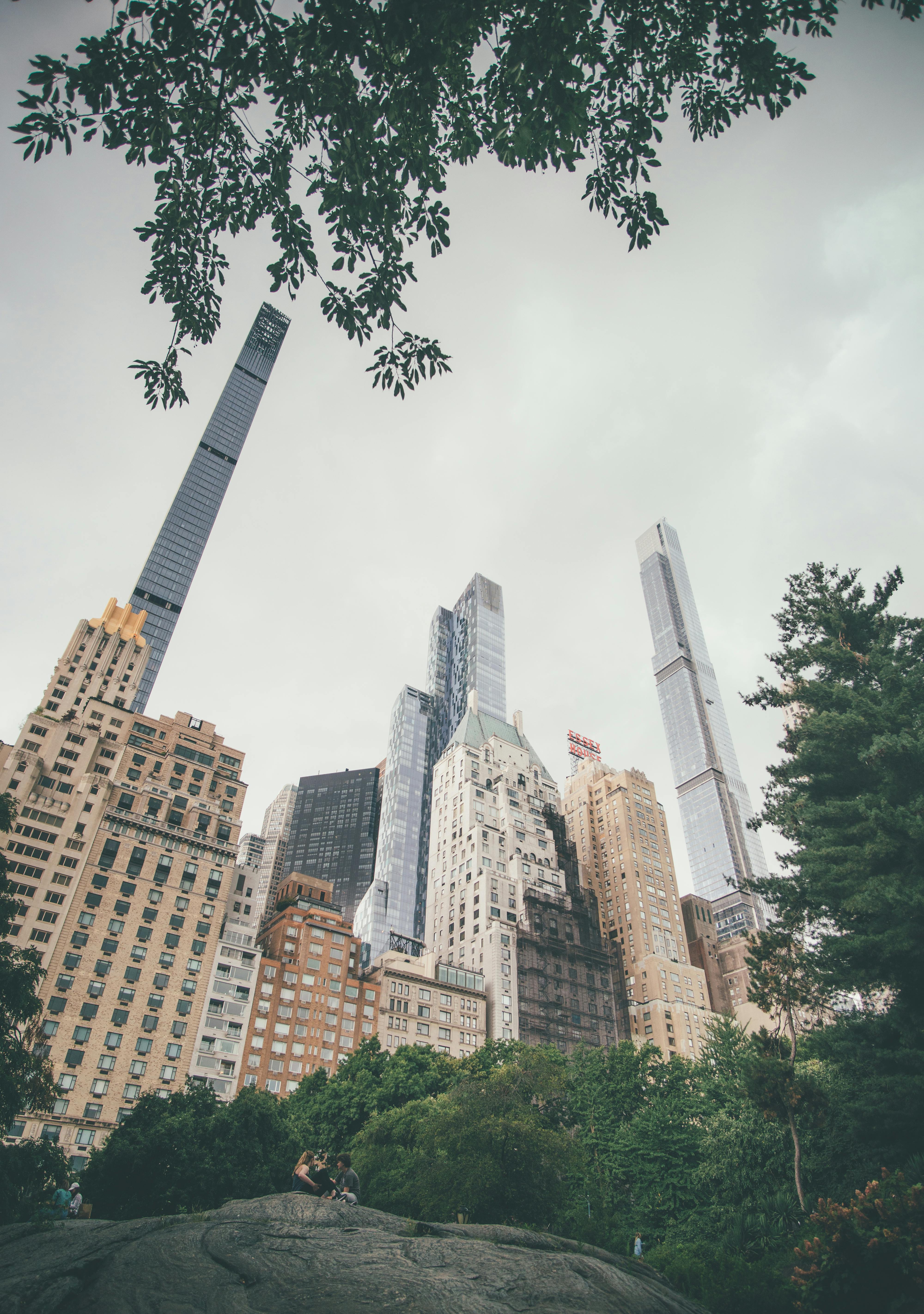 Central Park Near City Buildings · Free