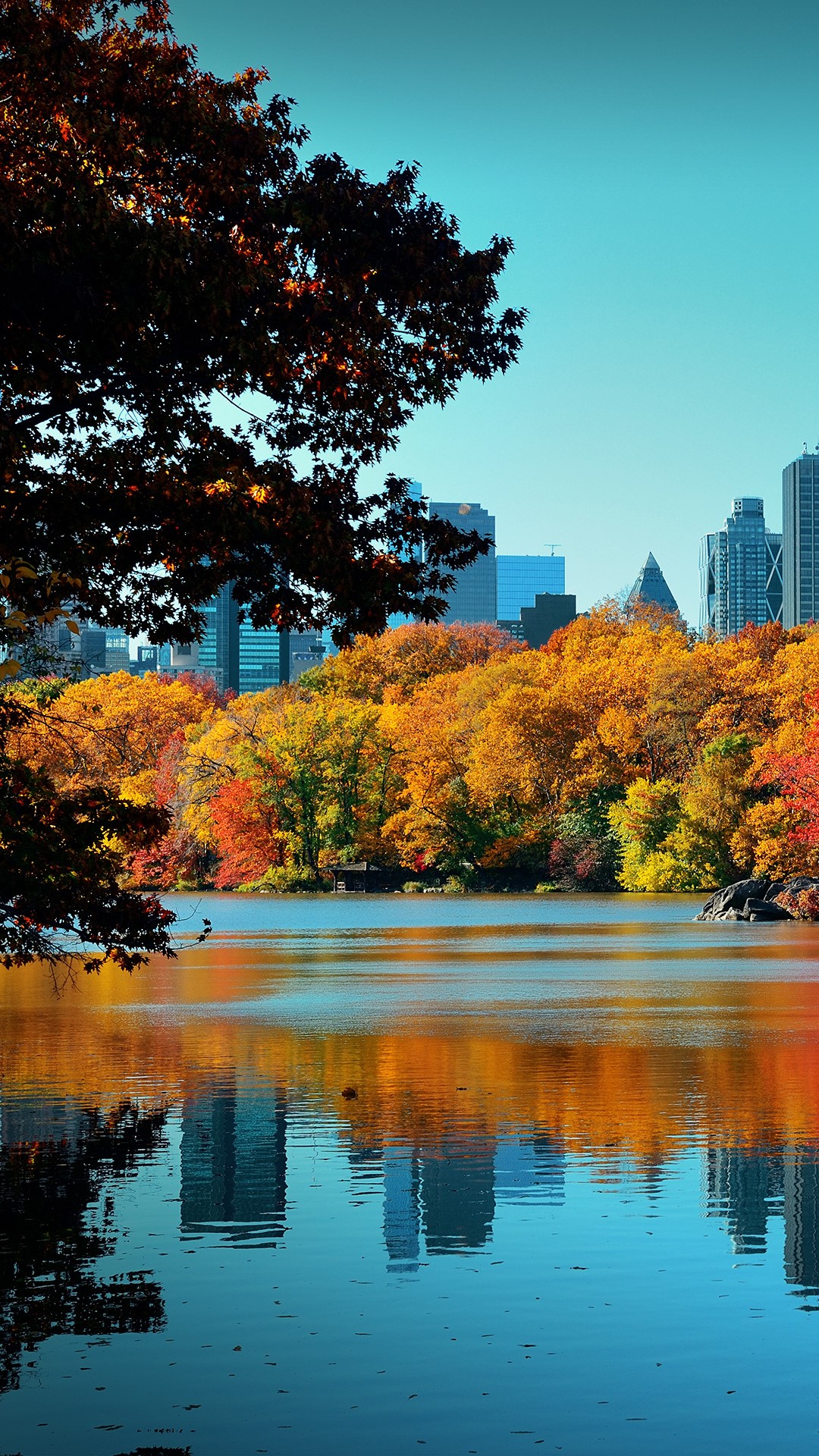 Central Park autumn and buildings