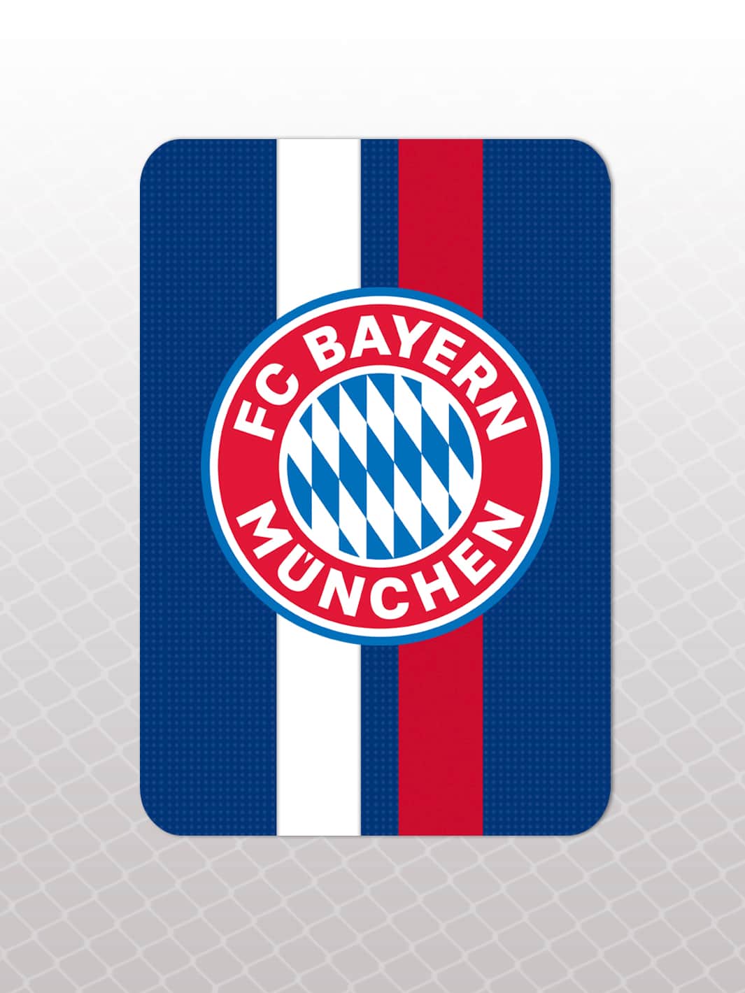 Bag Tag Set Bayern Munich® 2
