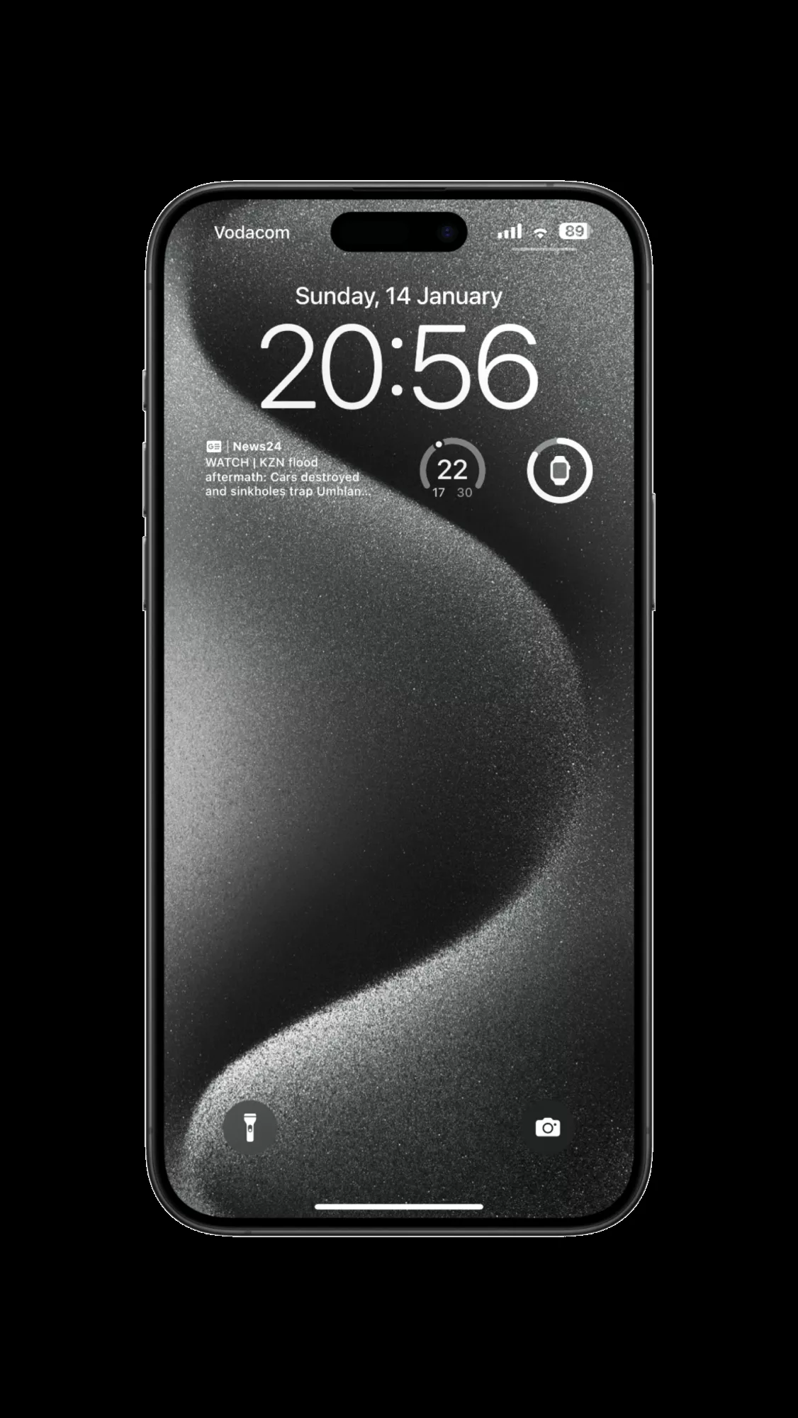 notch or Dynamic Island