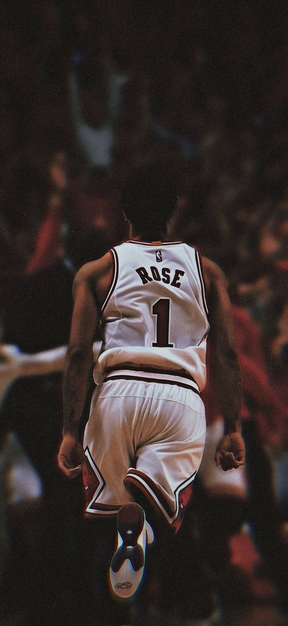 Wallpaper ➱ Derrick Rose