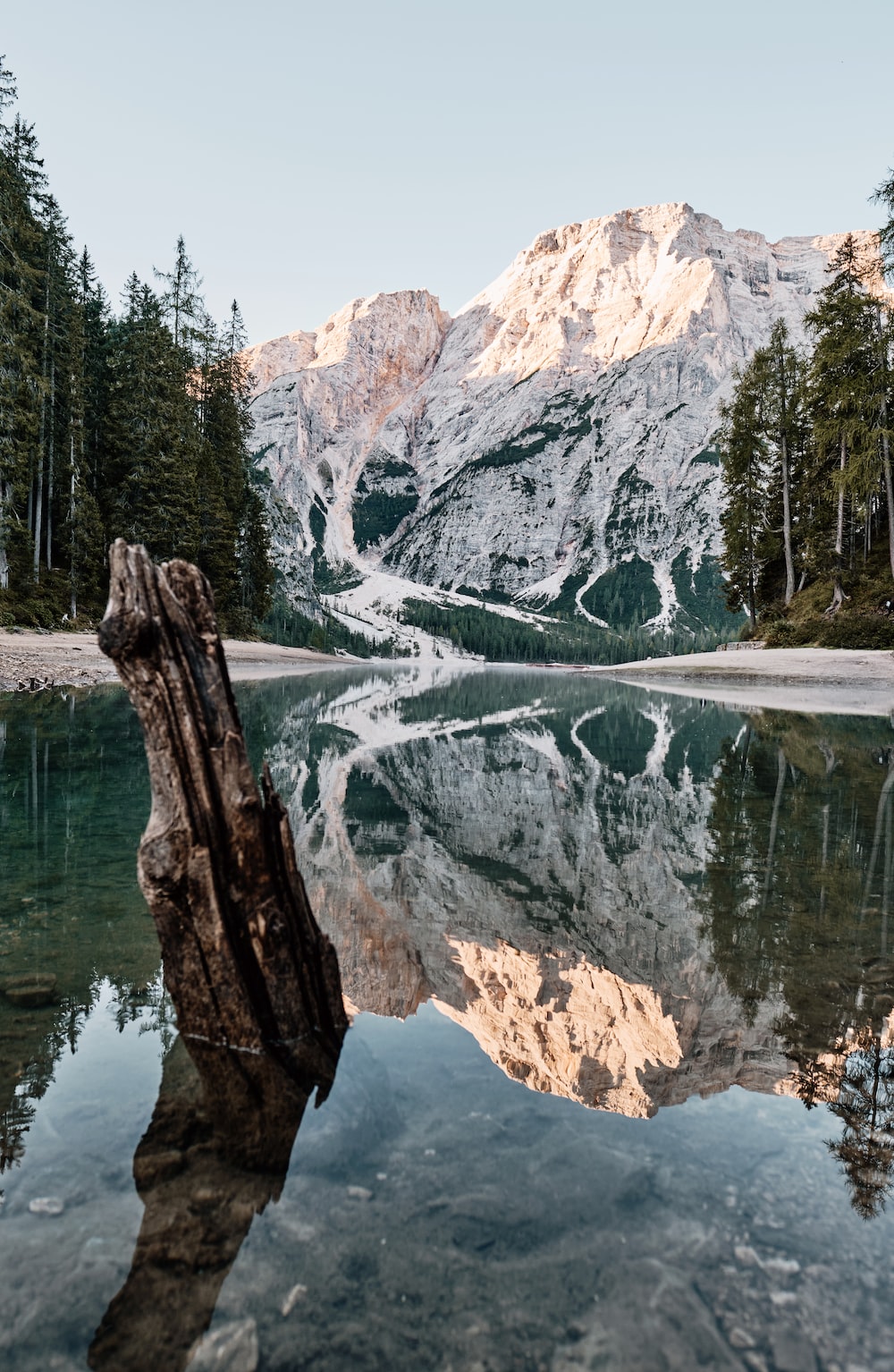 Free Nature Image