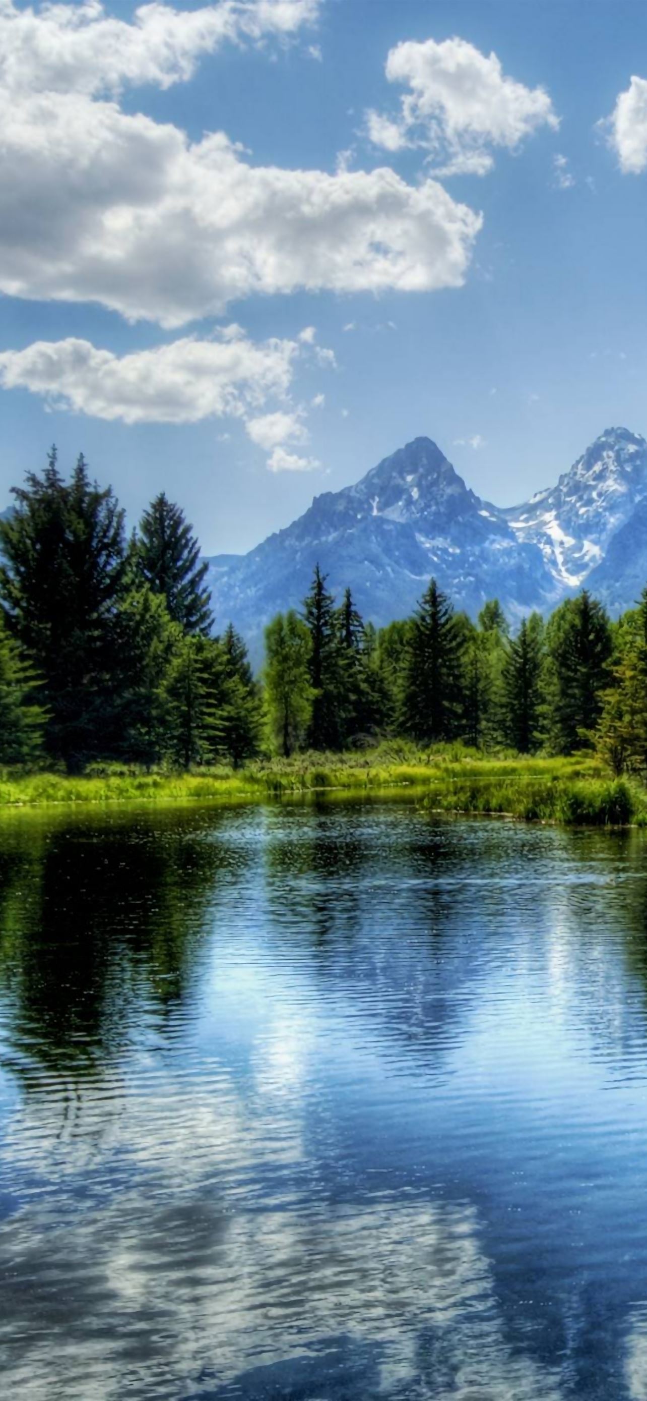 Forest Lake iPhone Wallpaper Free Download