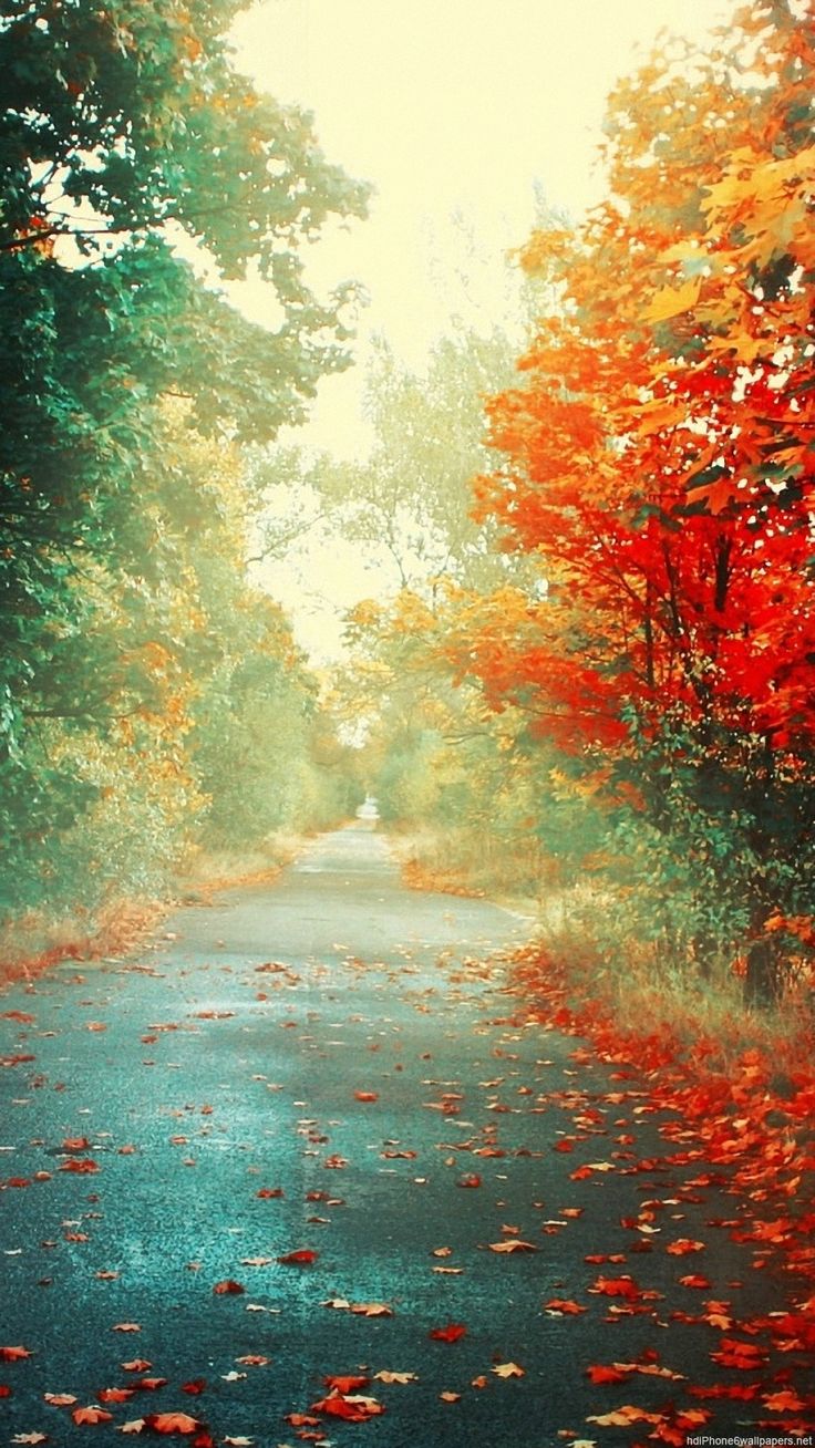 nature wallpaper, Nature wallpaper