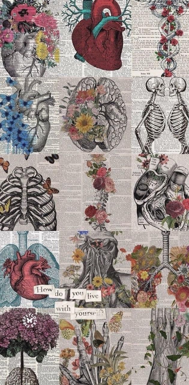 Human Anatomy wallpaper