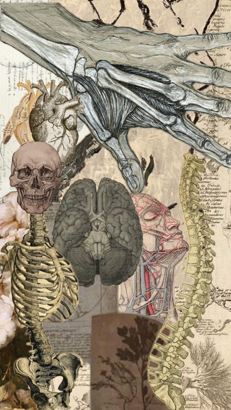 Anatomy. Abstract expressionist art