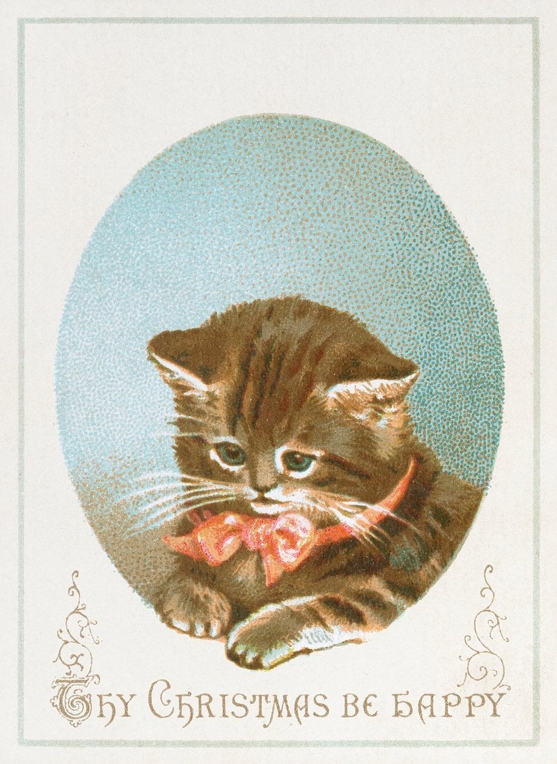 Vintage Cat Wallpapers - Wallpaper Cave