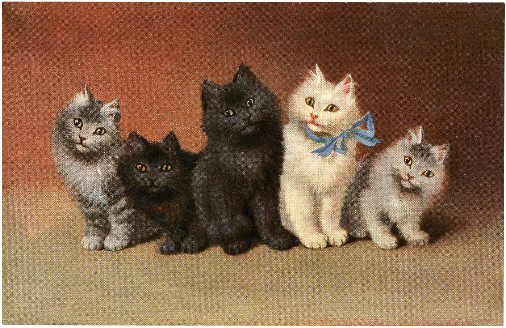 Beautiful Vintage Cat Picture