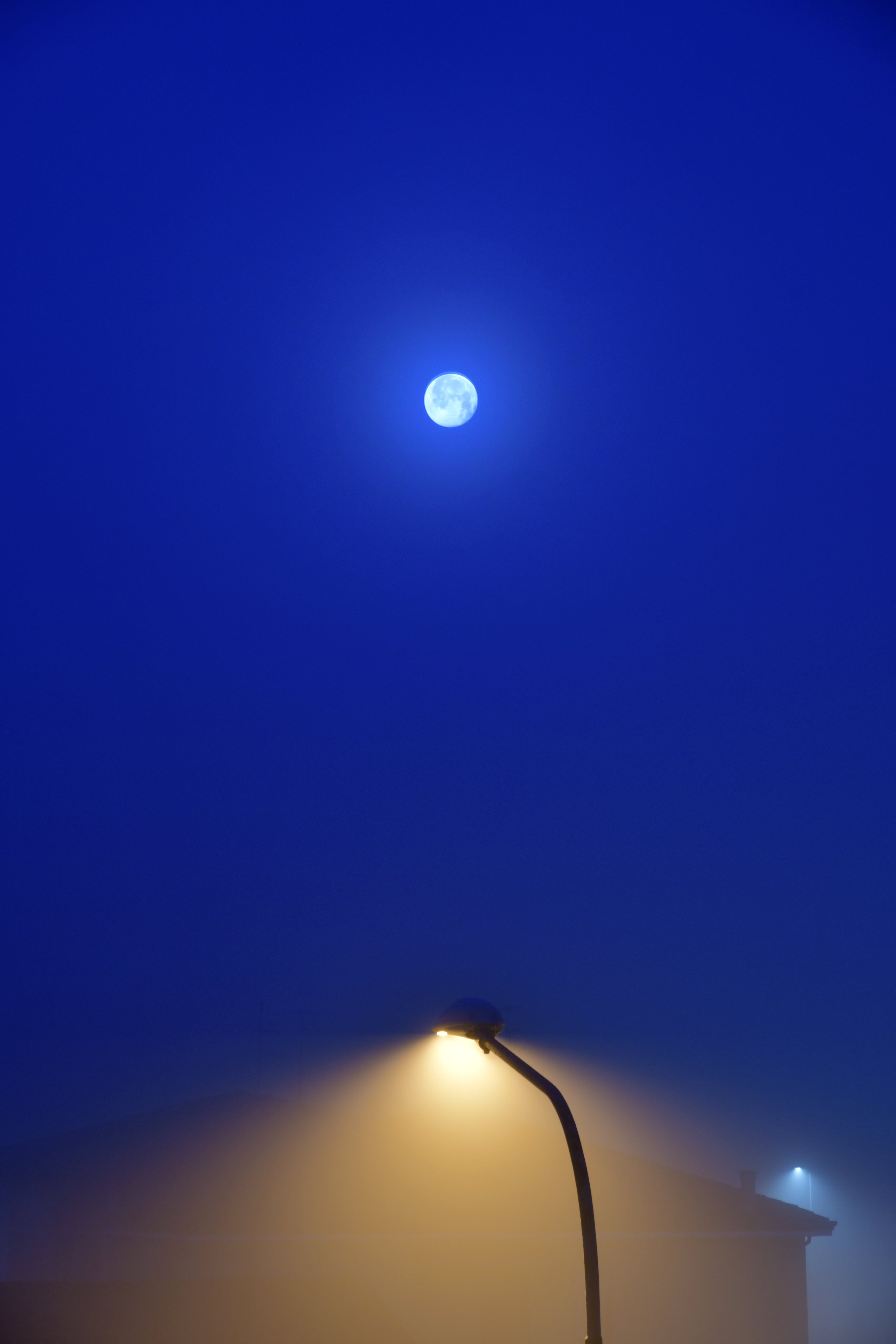 Black Metal Frame Lamp Post · Free