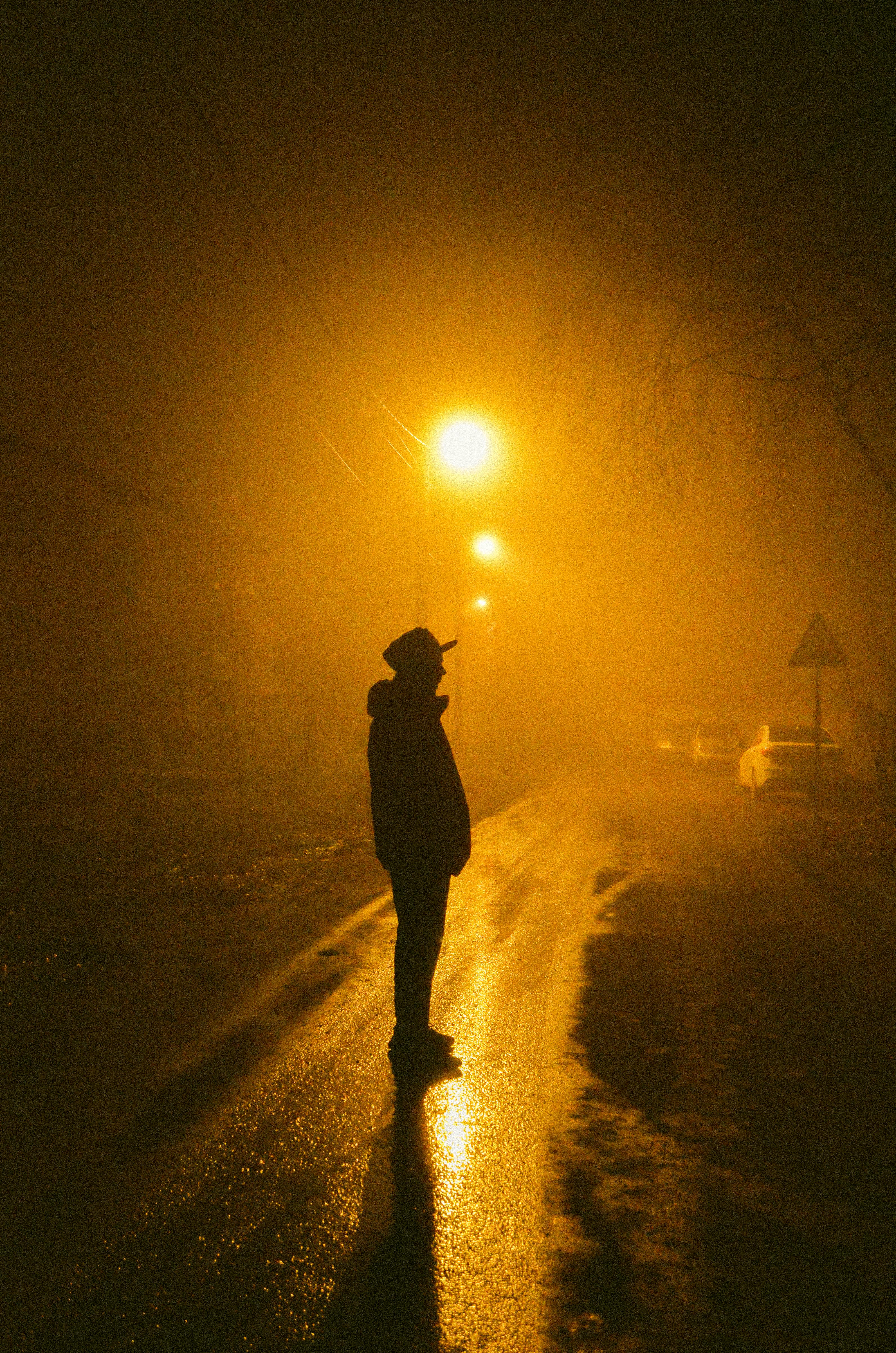 Dim Streetlight at Night in Fog · Free