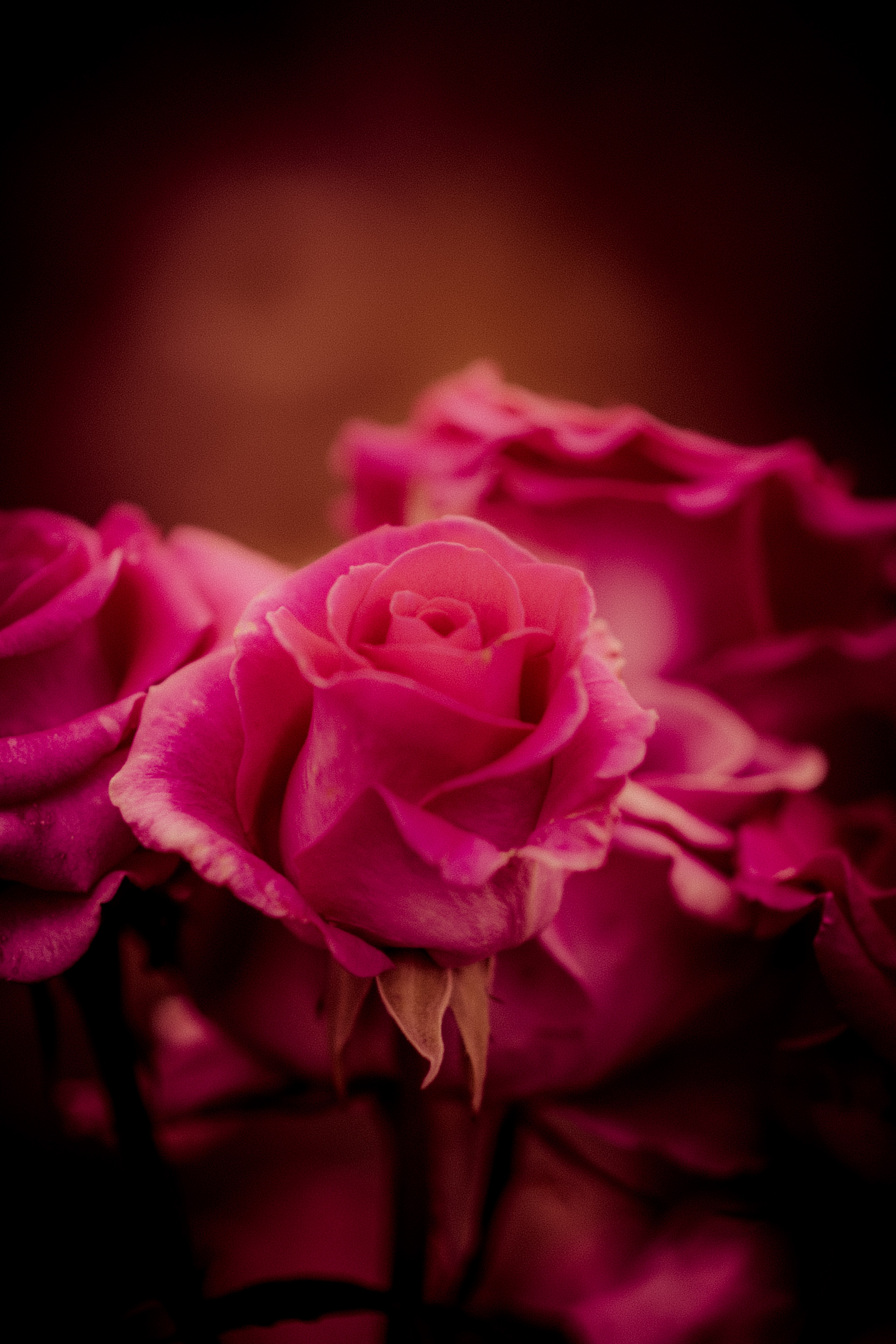 pink hd, 4k Phone HD Wallpaper