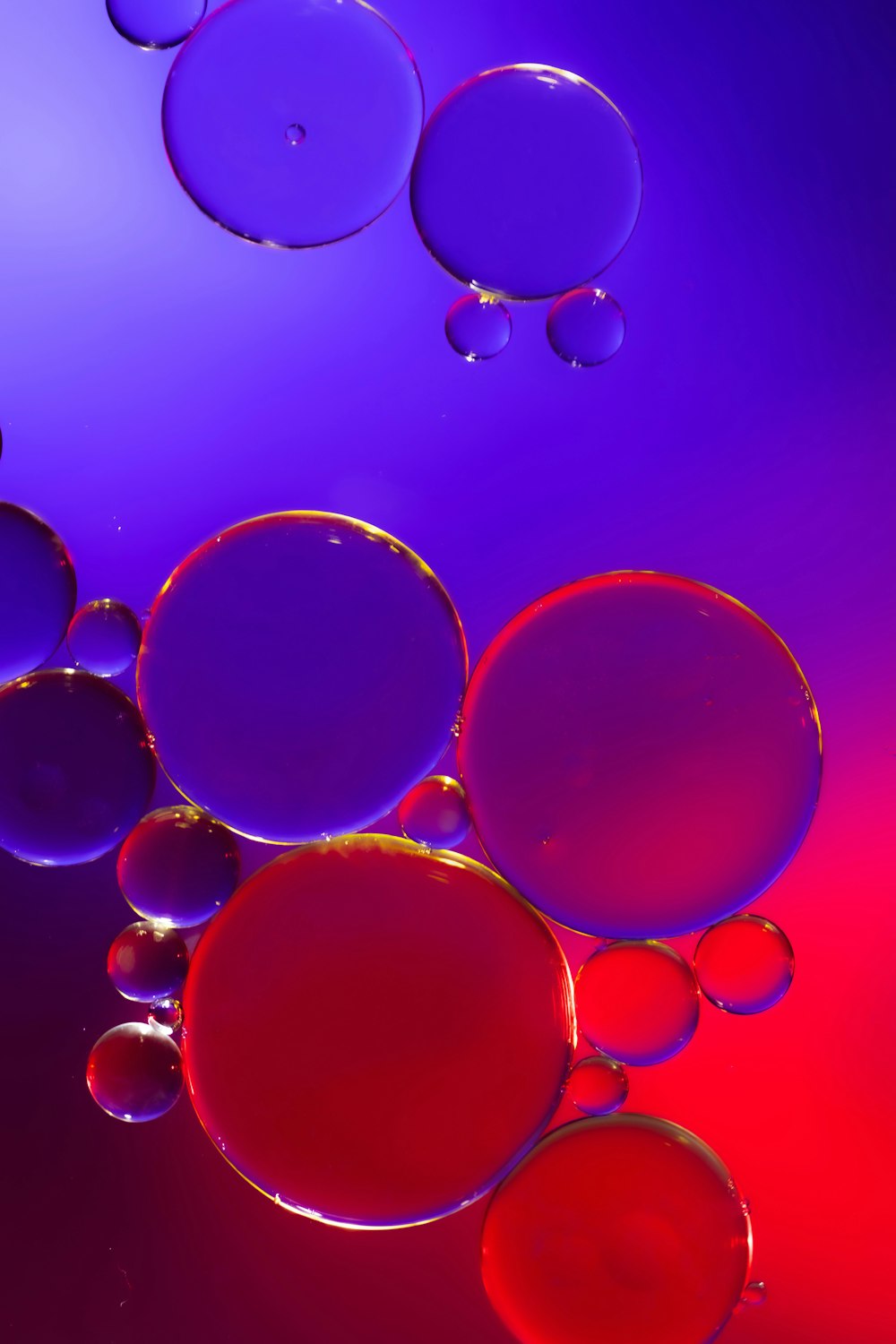Bubbles Wallpaper Picture. Download