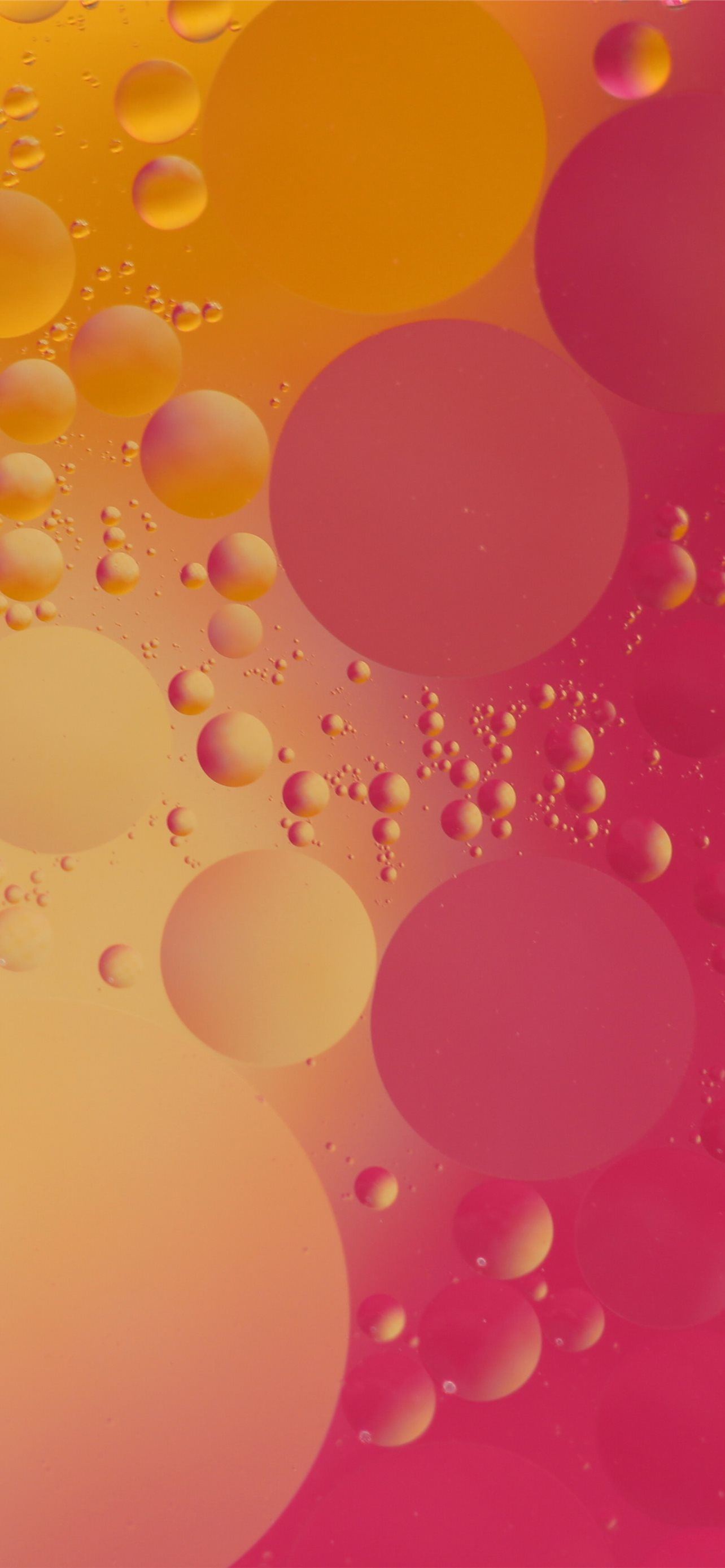 pink and orange bubble digital
