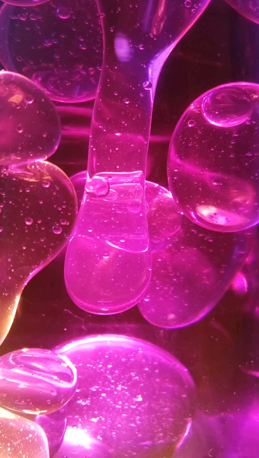 live wallpaper on my phone