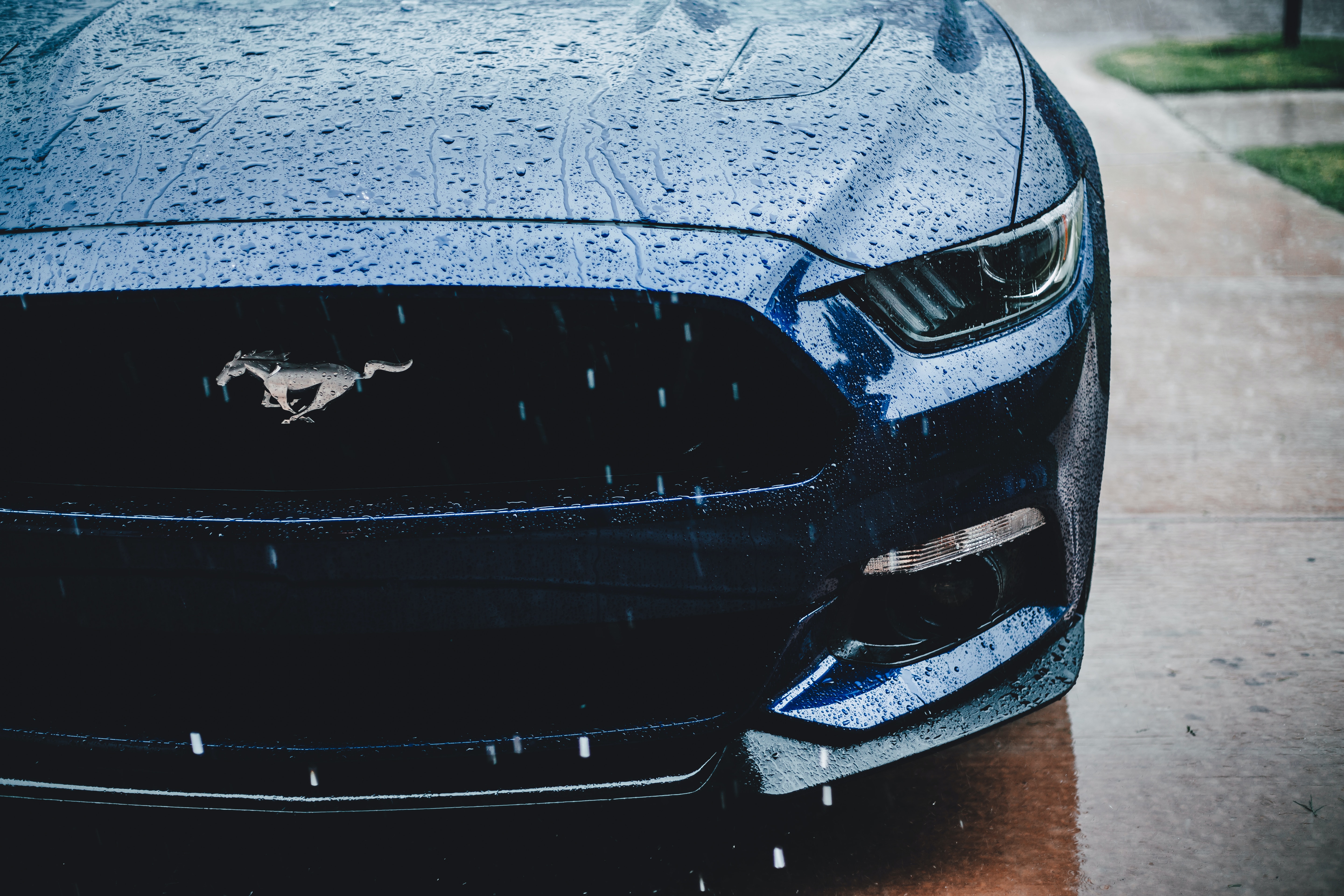Mustang Wallpaper: Free HD Download