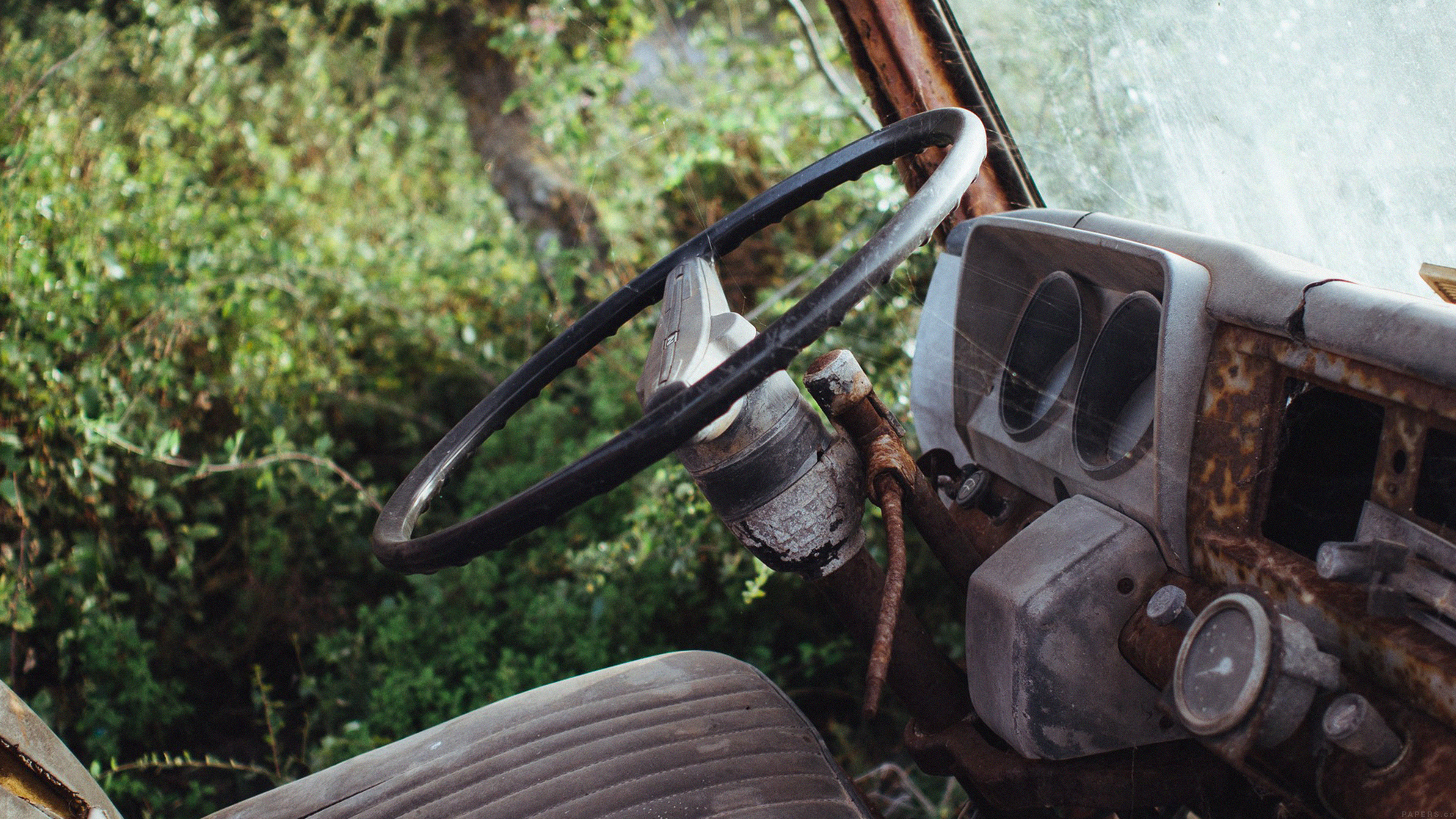 Old Car Forest Vintage Nature Carl