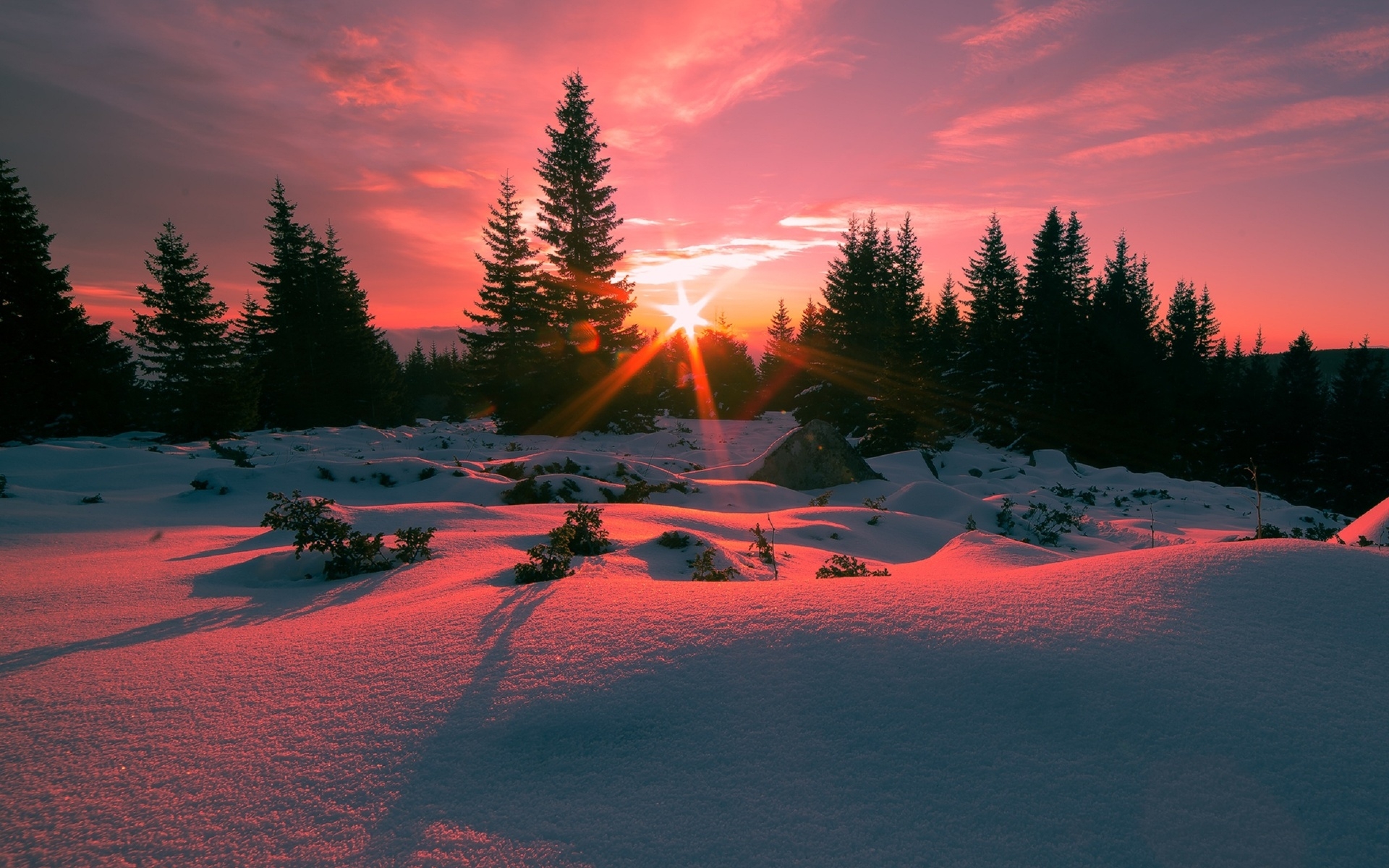 Winter Sunset