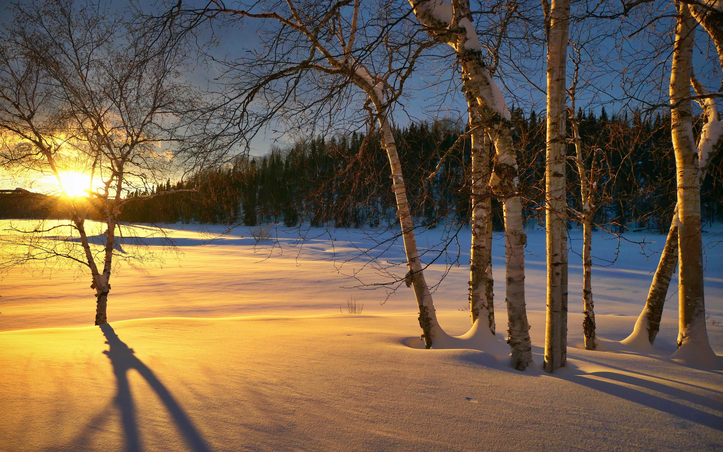 wallpaper: Epic Winter sunset 2880x1800