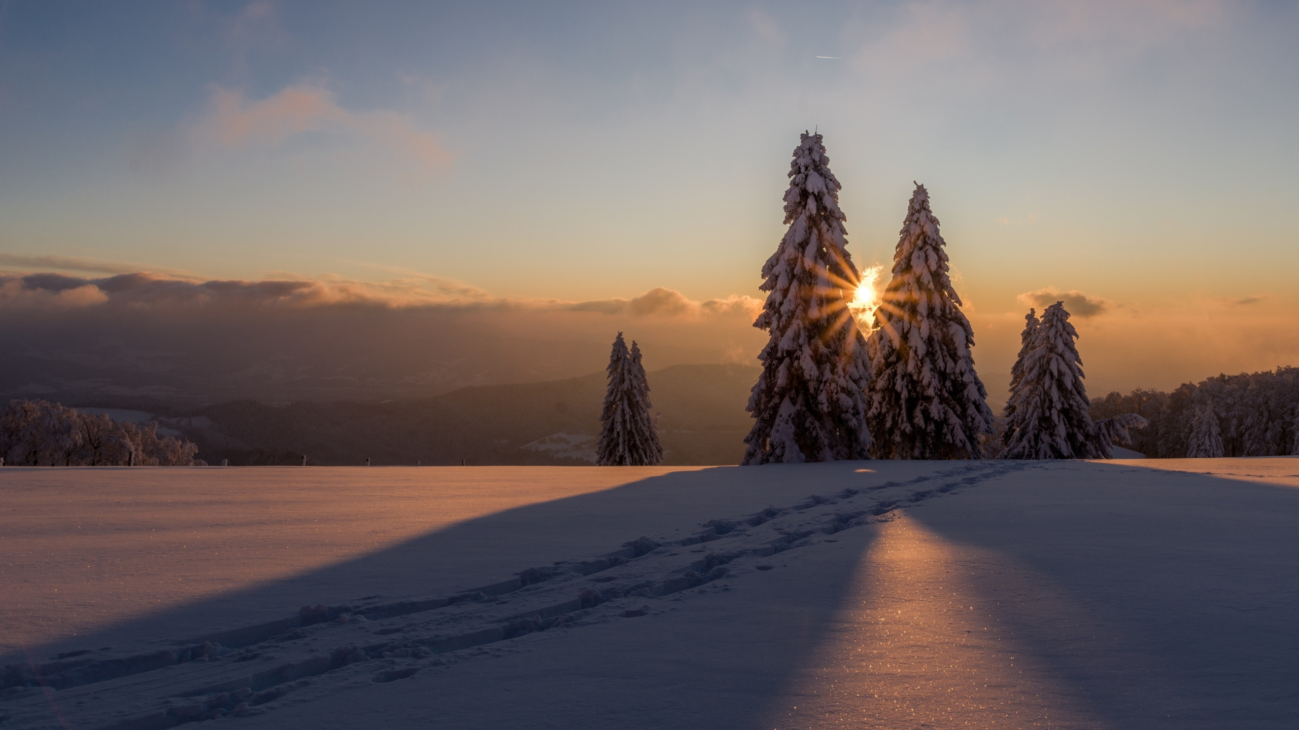 Download wallpaper 2560x1440 winter