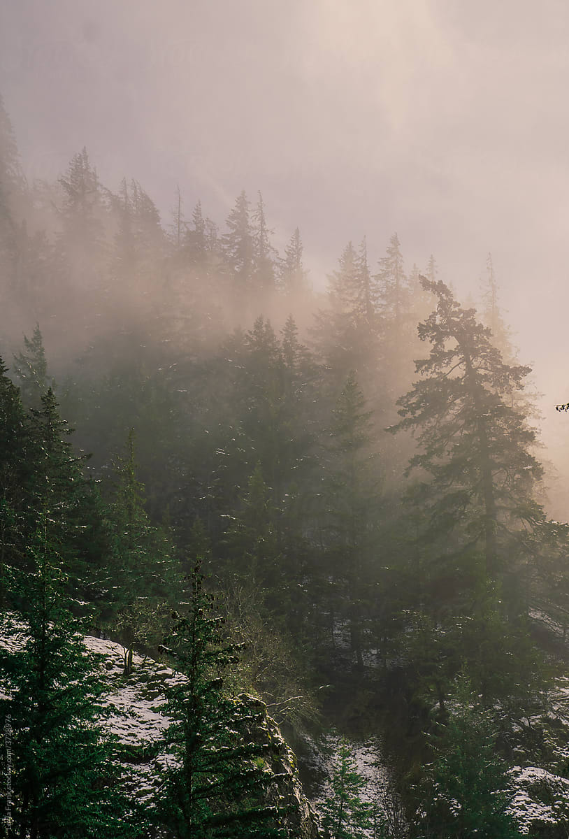Foggy Mountain Winter Sunrise- Vertical