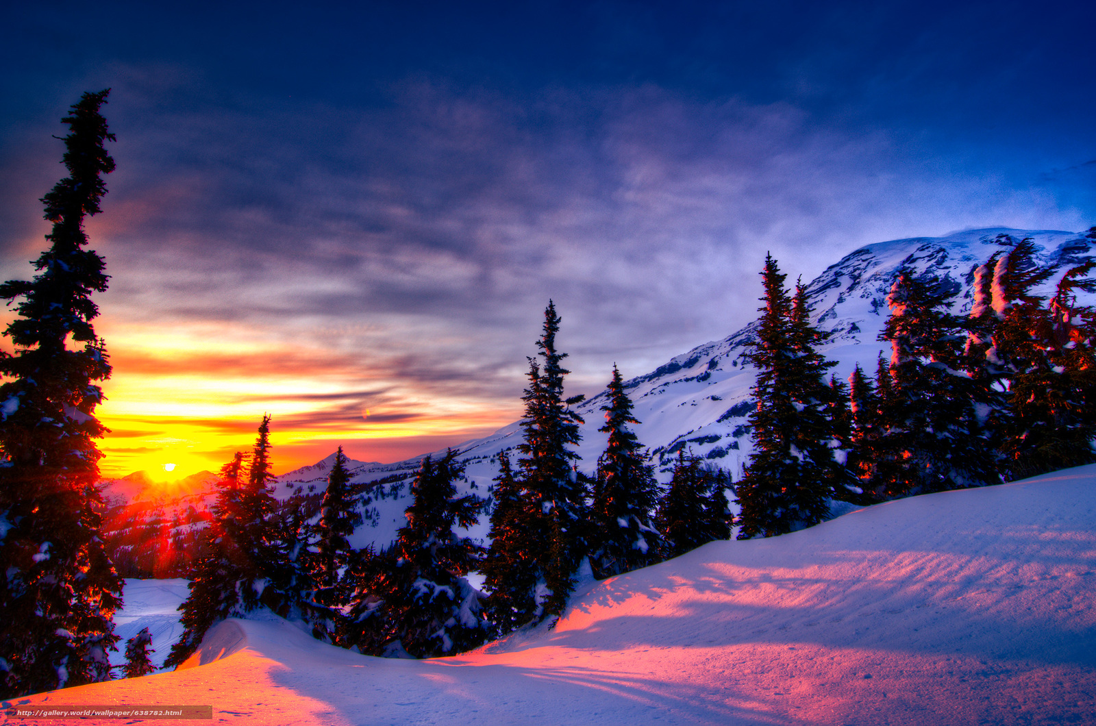 Download wallpaper Mt. Rainier