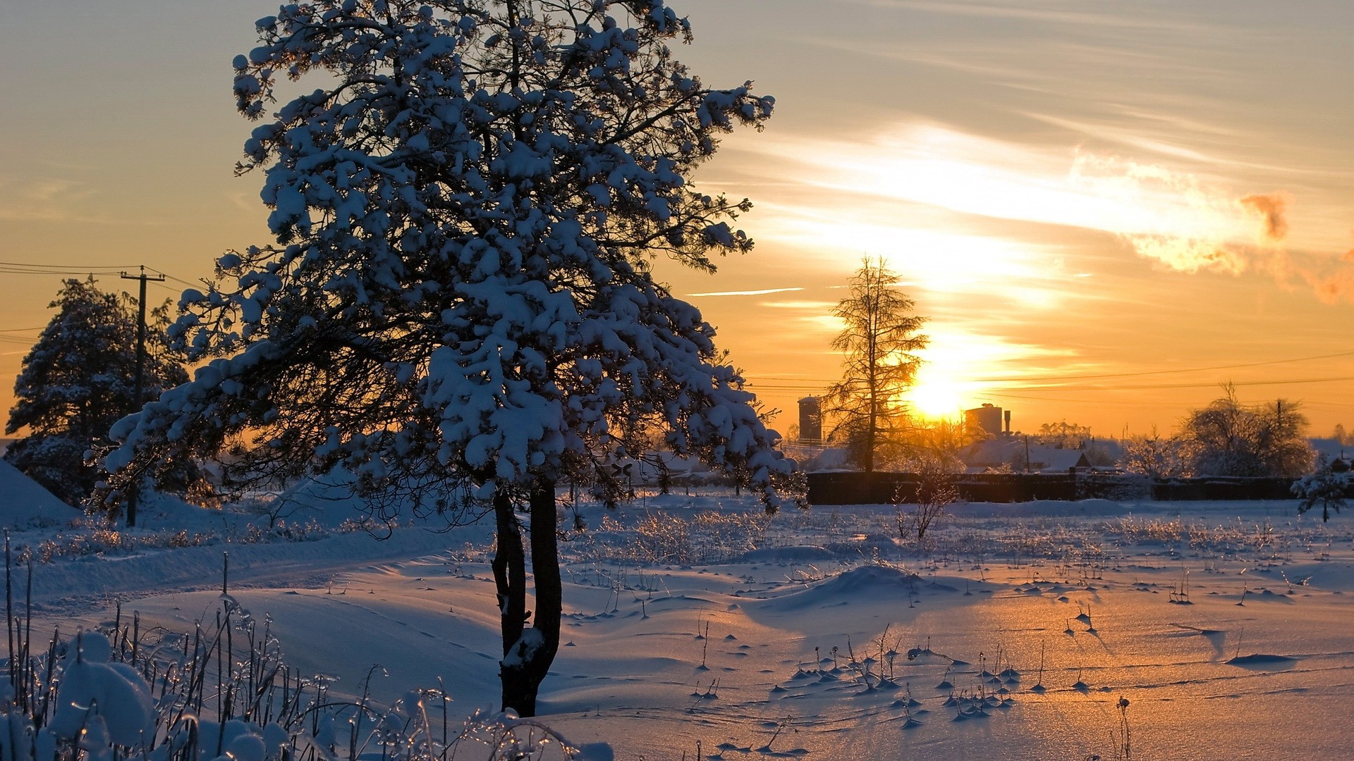 The sun, light, sunset, winter, tree