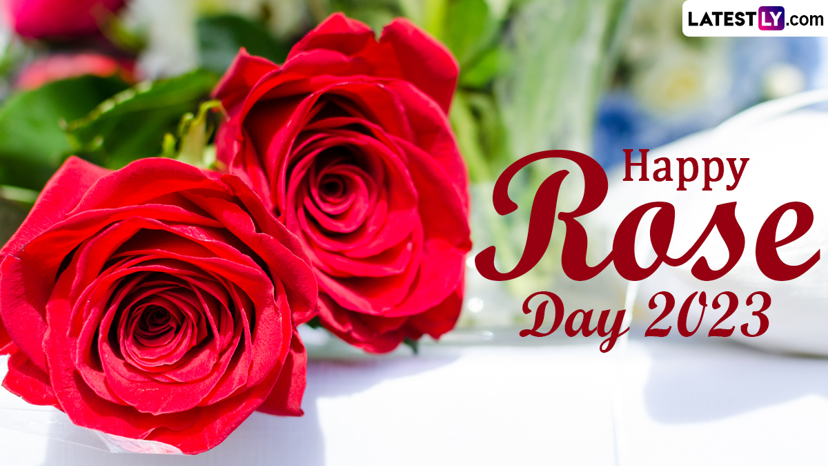 Rose Day 2023 Image & Happy Valentine