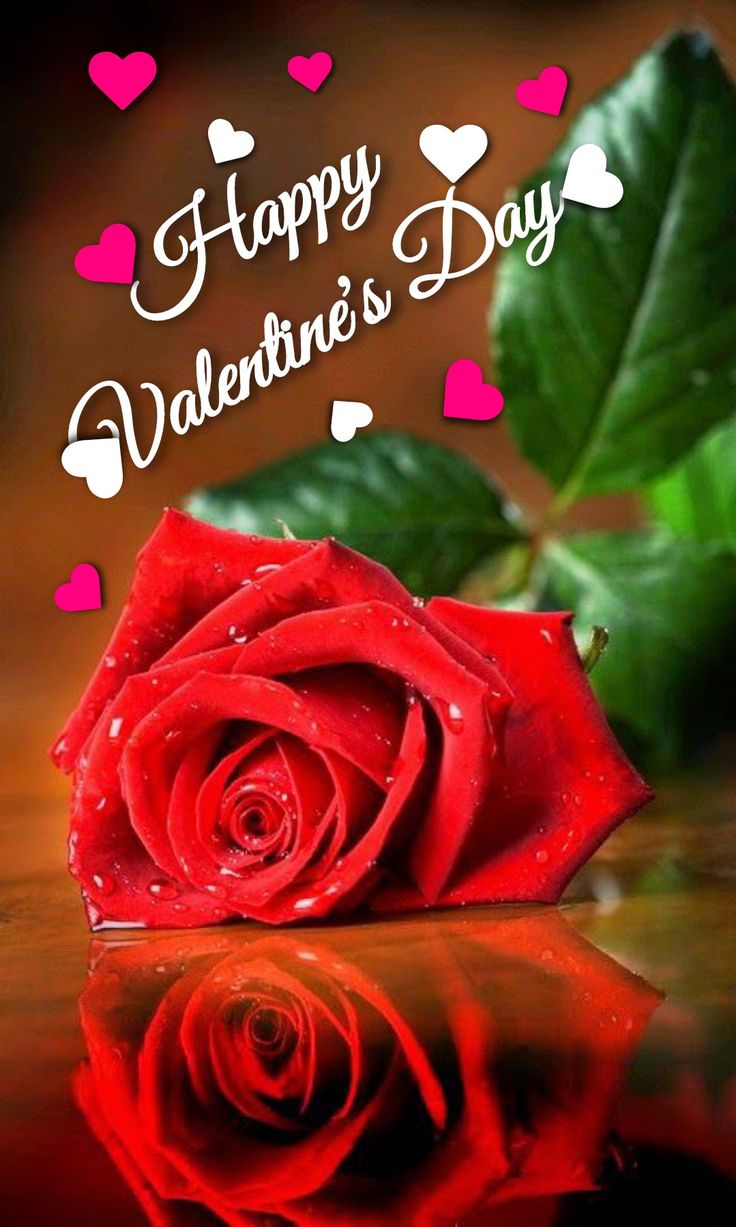 Happy valentines day picture