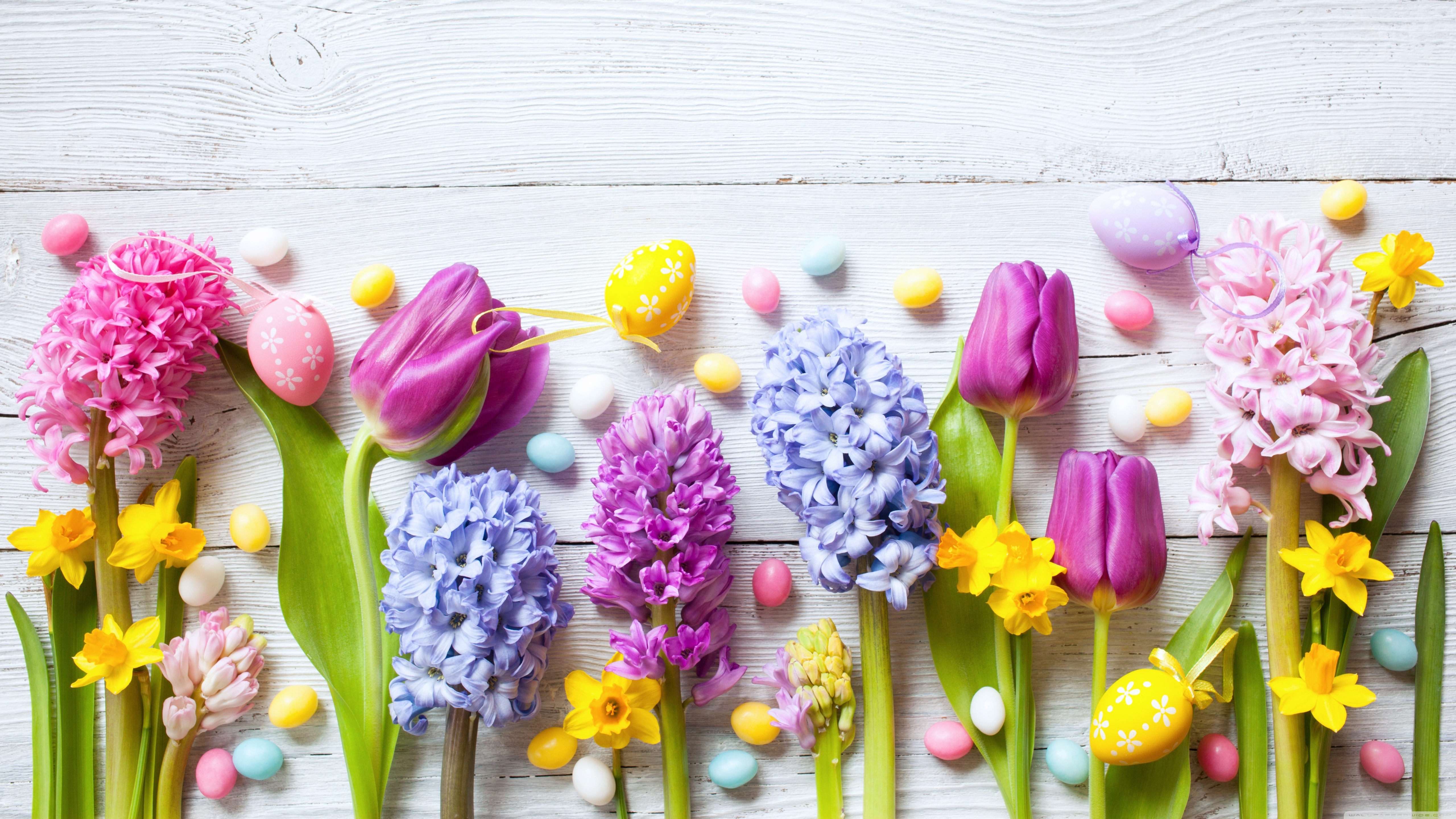 Spring Flowers Easter 2022 Ultra HD