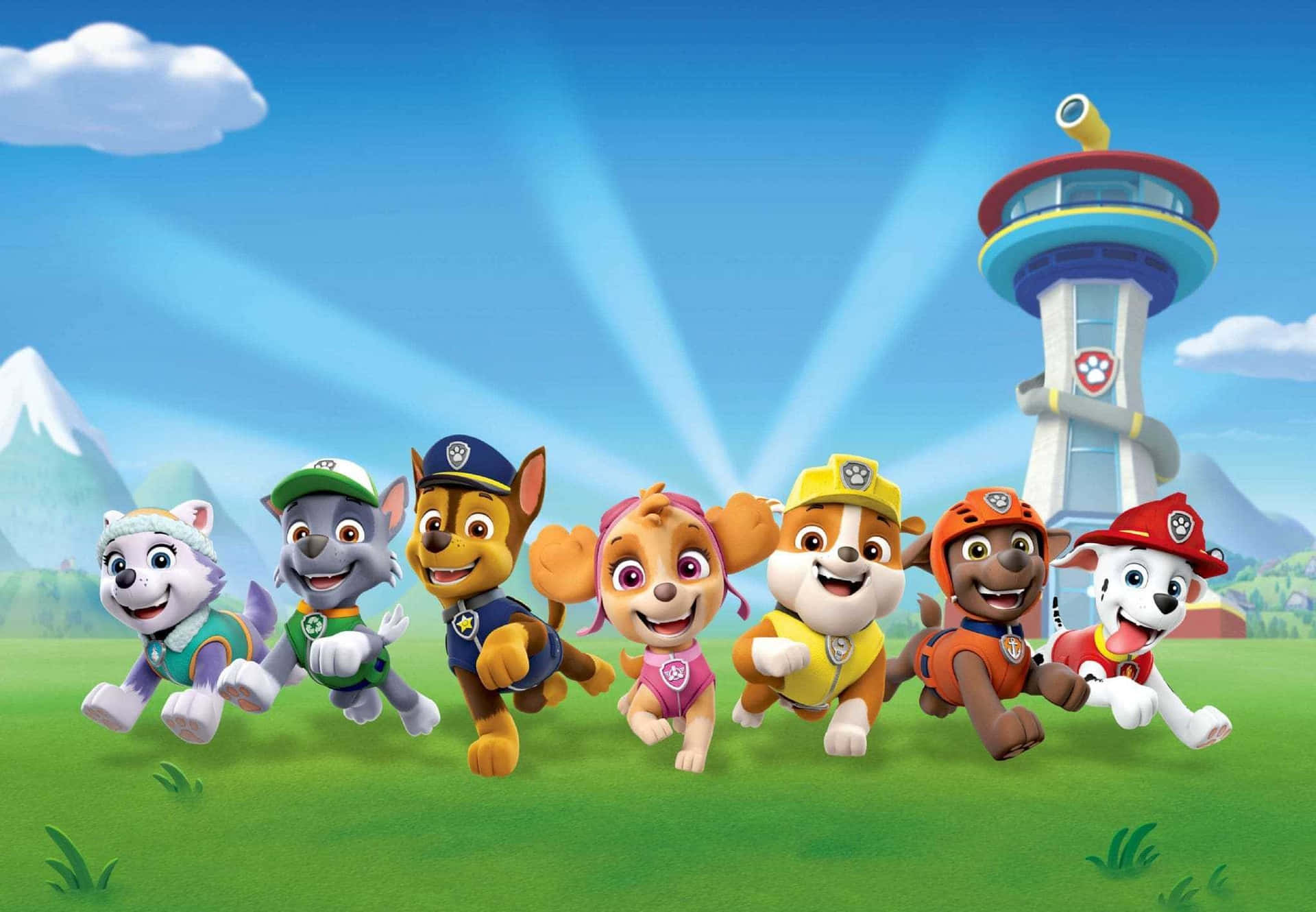 Skye Paw Patrol Wallpaper